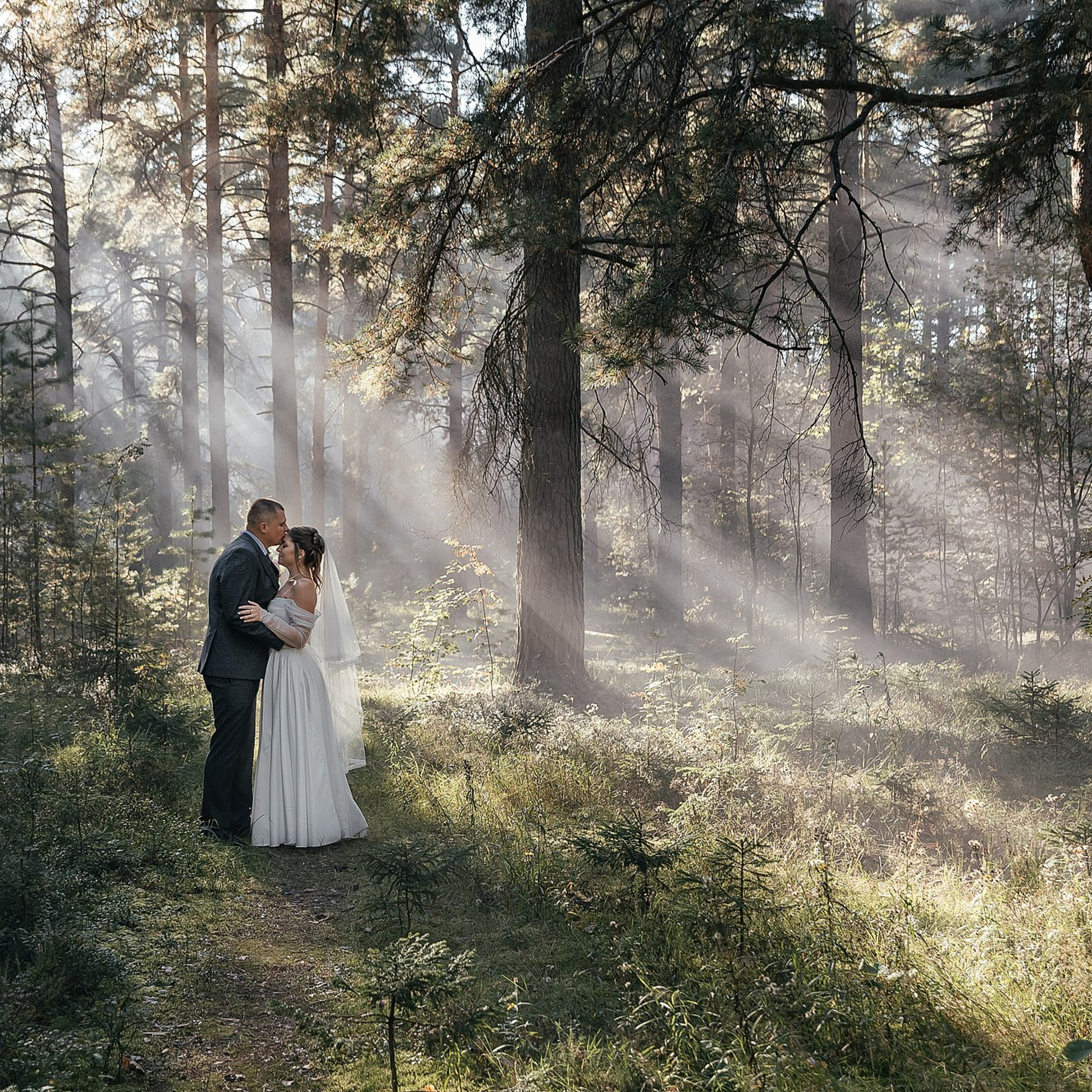 Волшебный лес