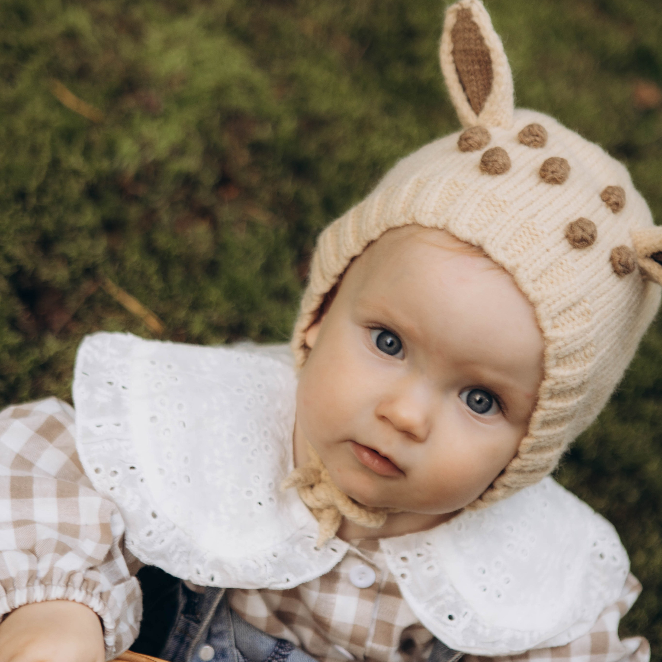 Лесная история