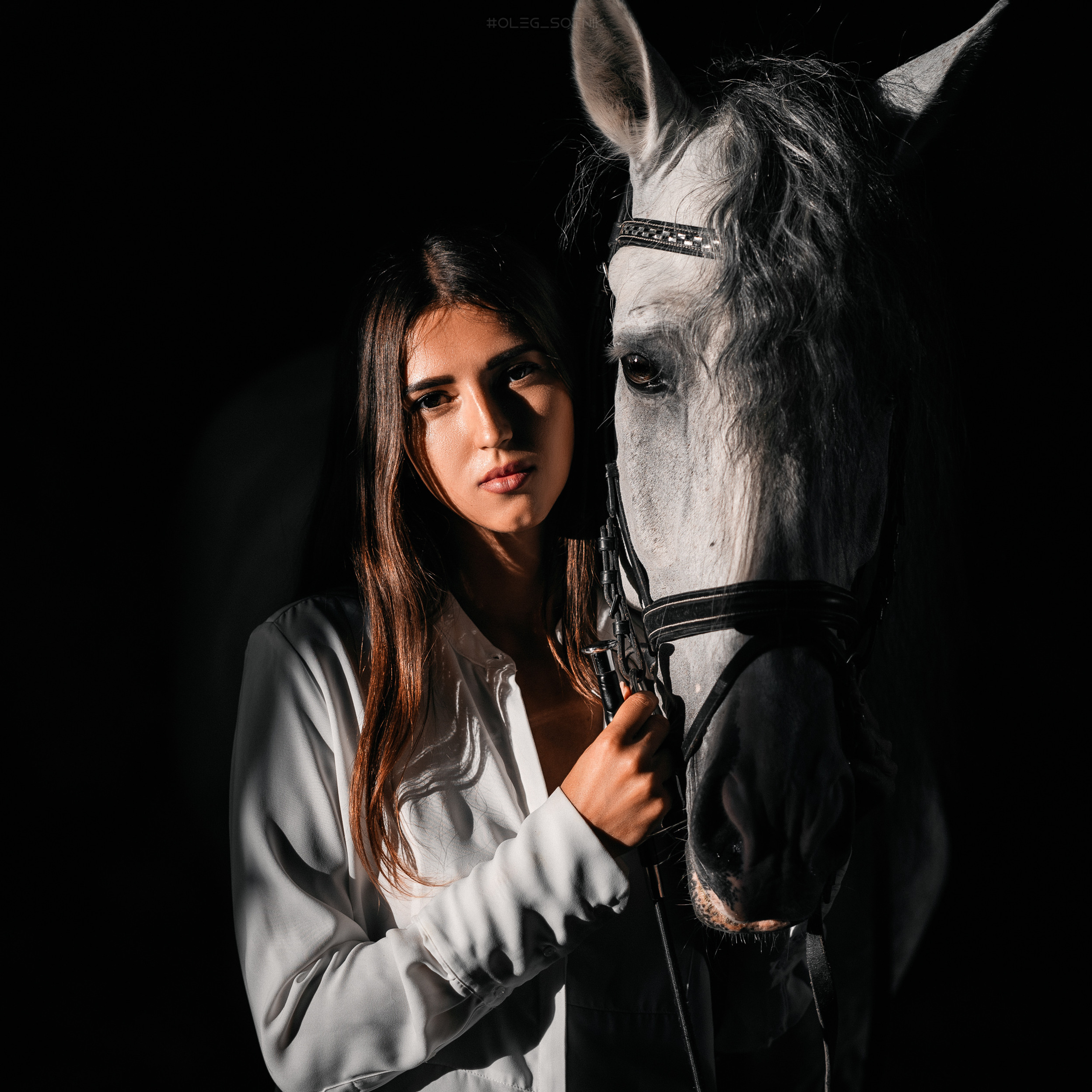 Контент для конного клуба