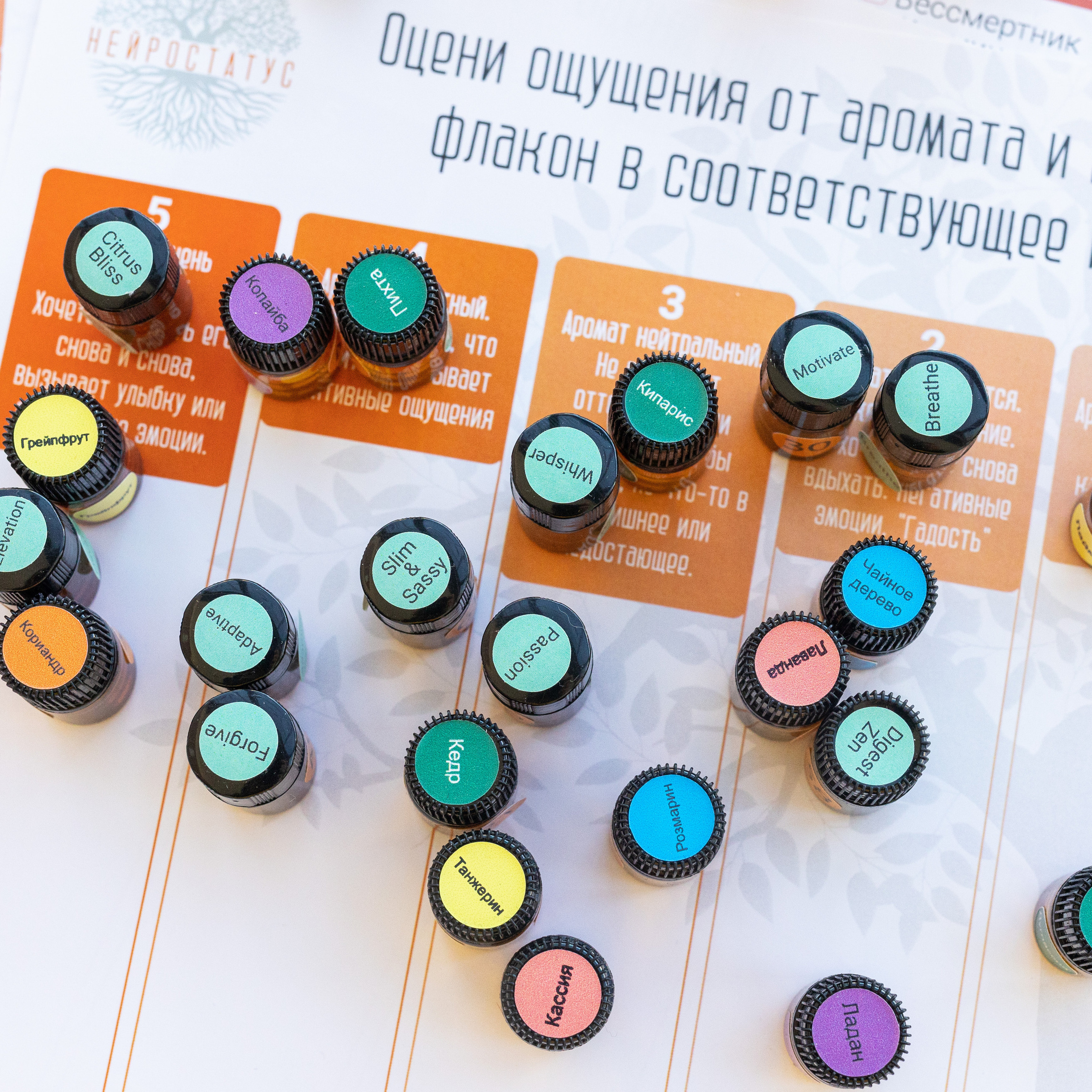 Ароматестирование по методу Нейростатус. Ароматестирование по методу Аромакод и Нейростатус в Санкт-Петербурге
