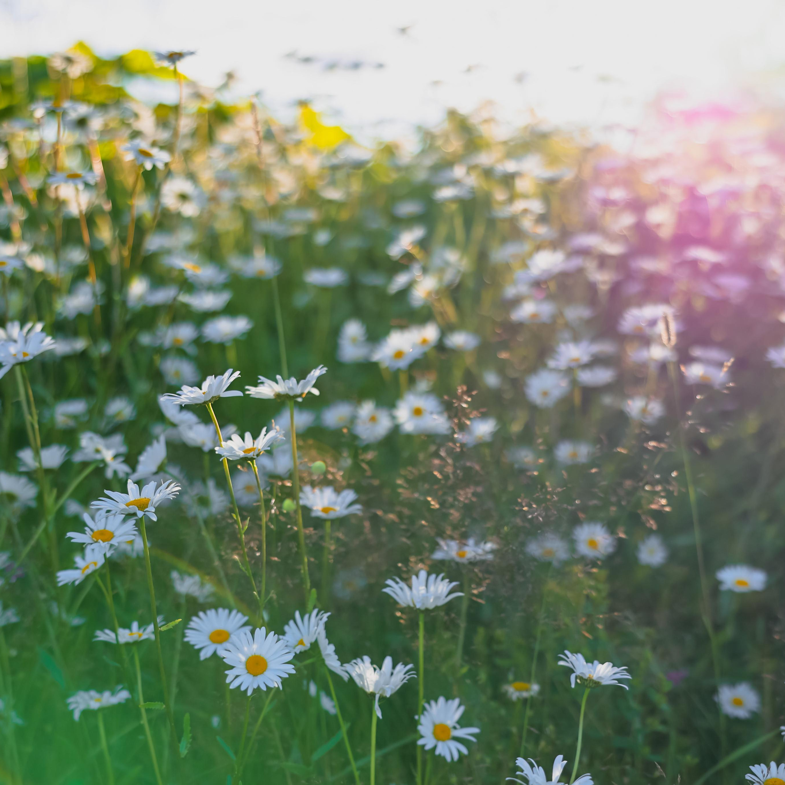 Отзывы. Ароматестирование по методу Аромакод и Нейростатус в Санкт-Петербурге
