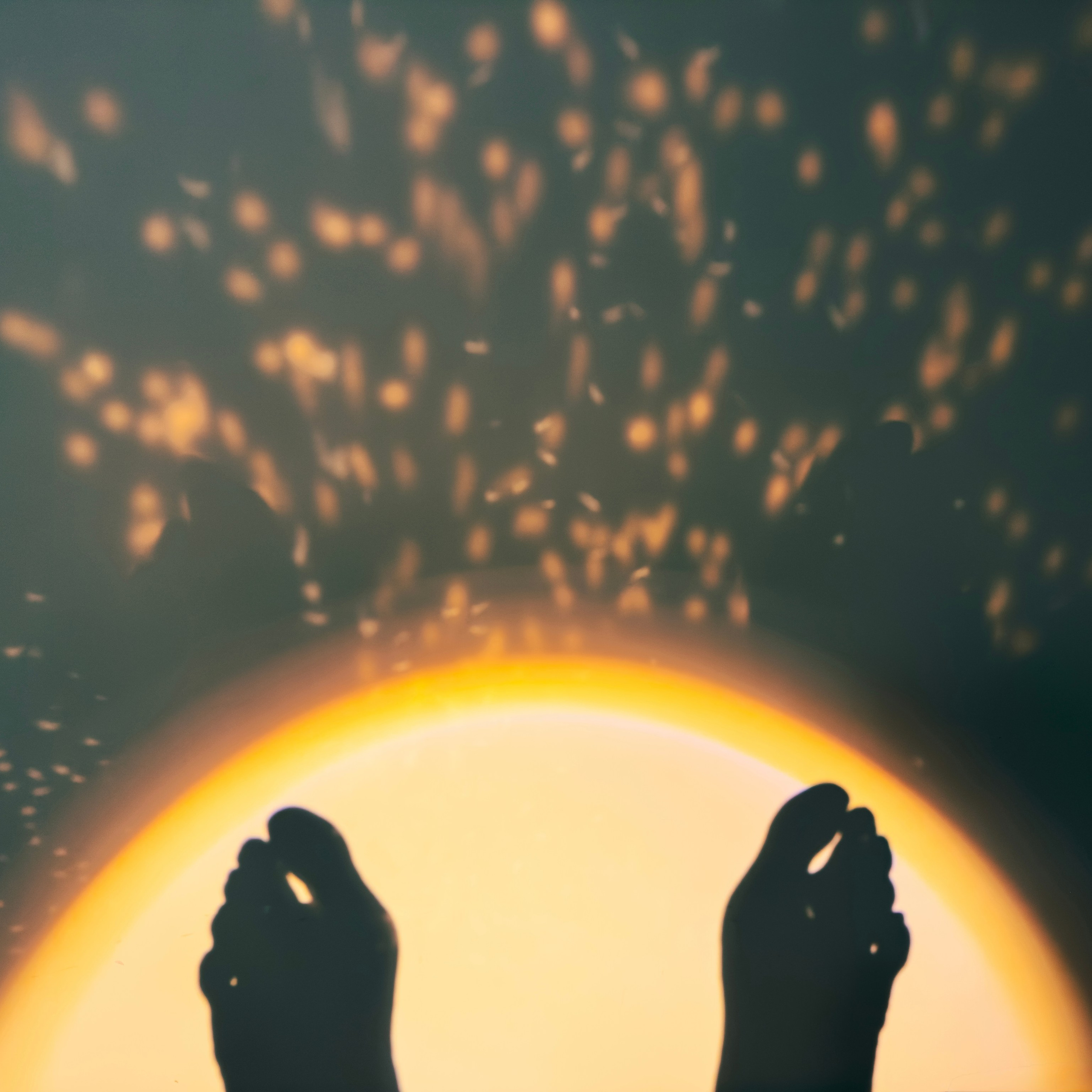 Световой дневник. Поиск неочевидного