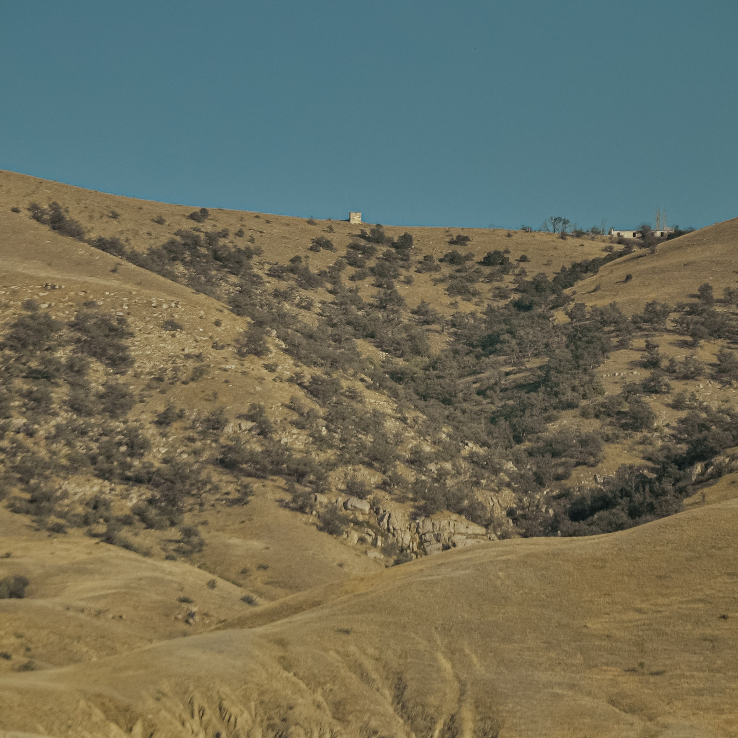Съемка для журнала. Семейные и индивидуальные фотосессии