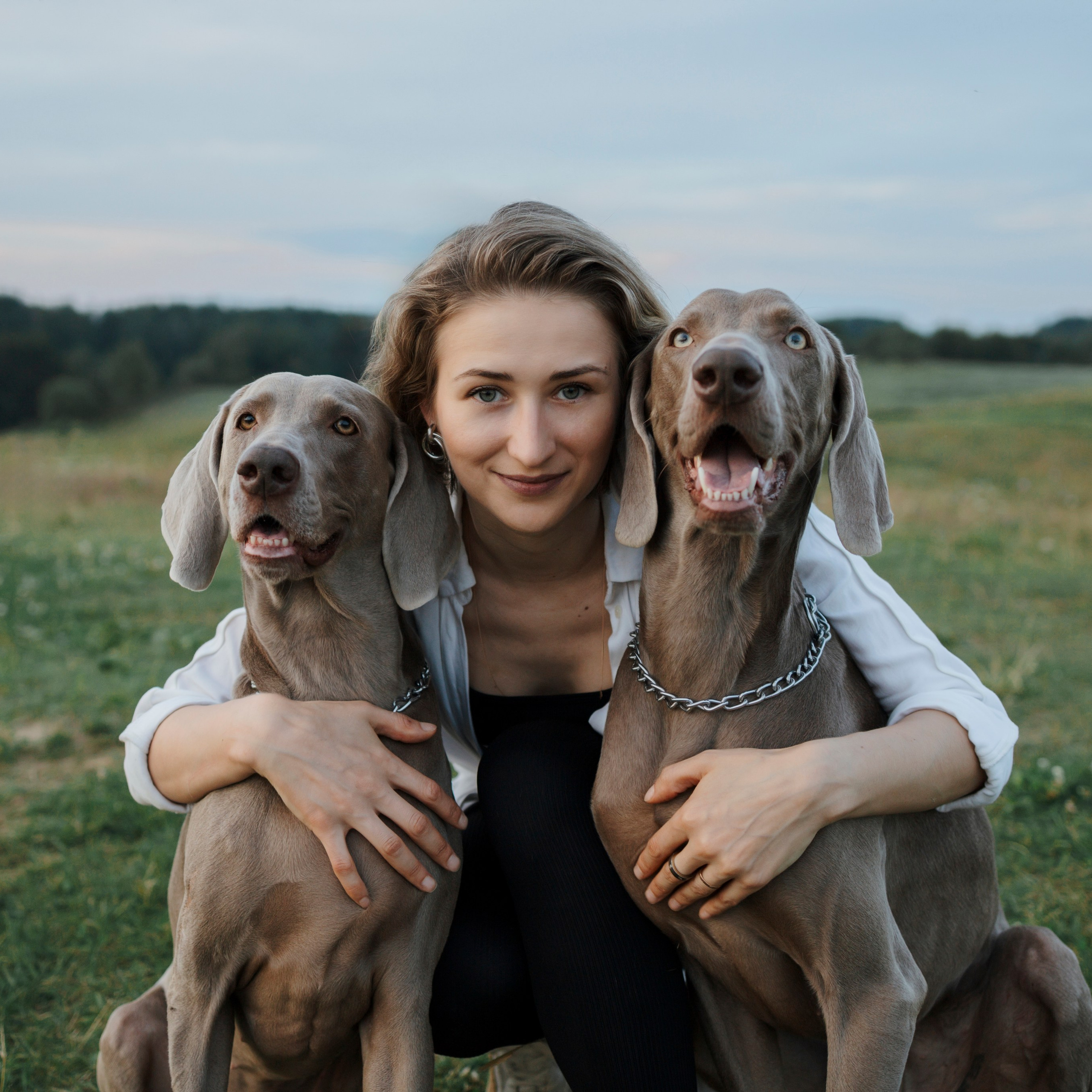 Маргарита и веймаранеры