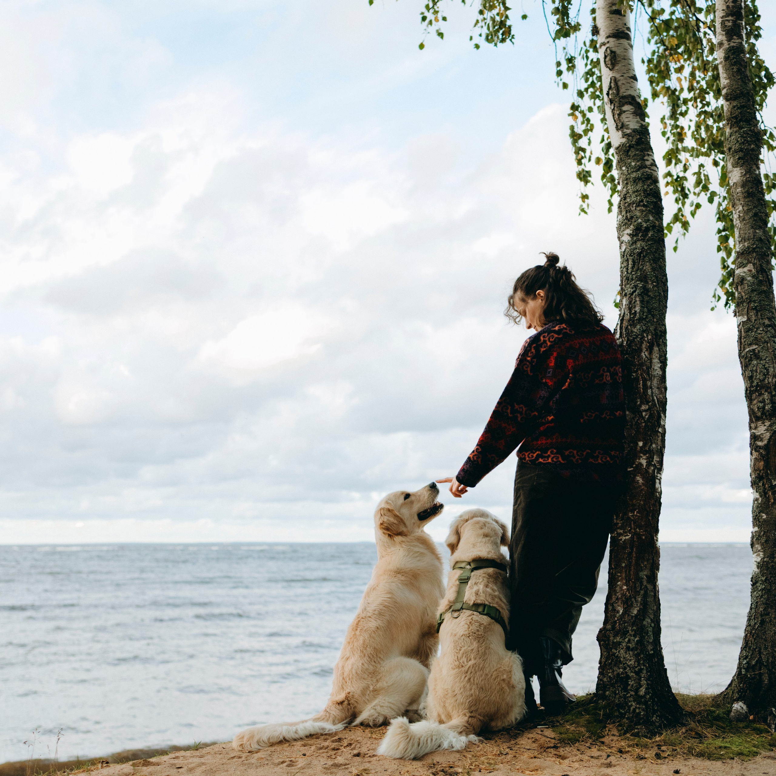 прогулка Насти с Арчи и Арагоном