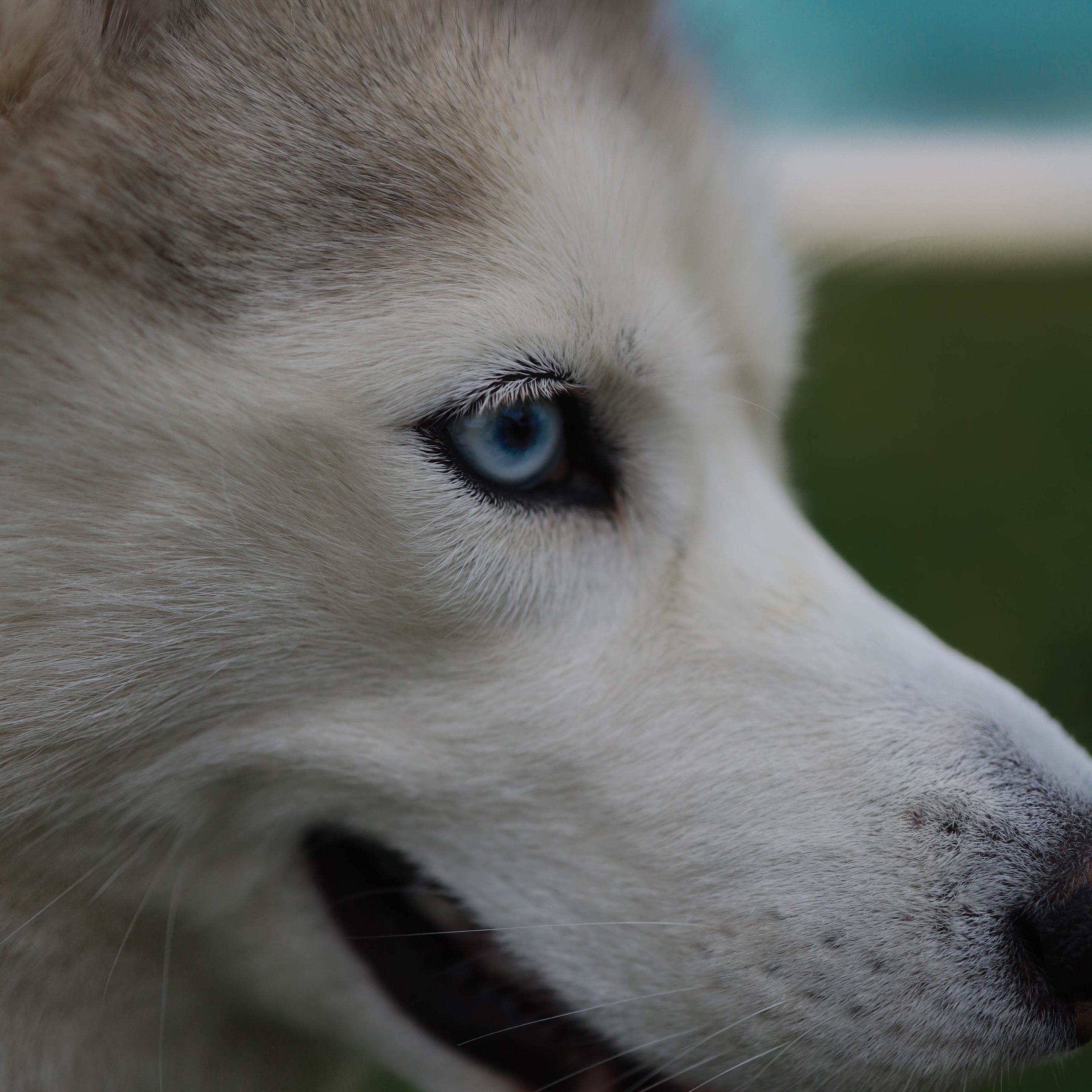 Шанти и Катя