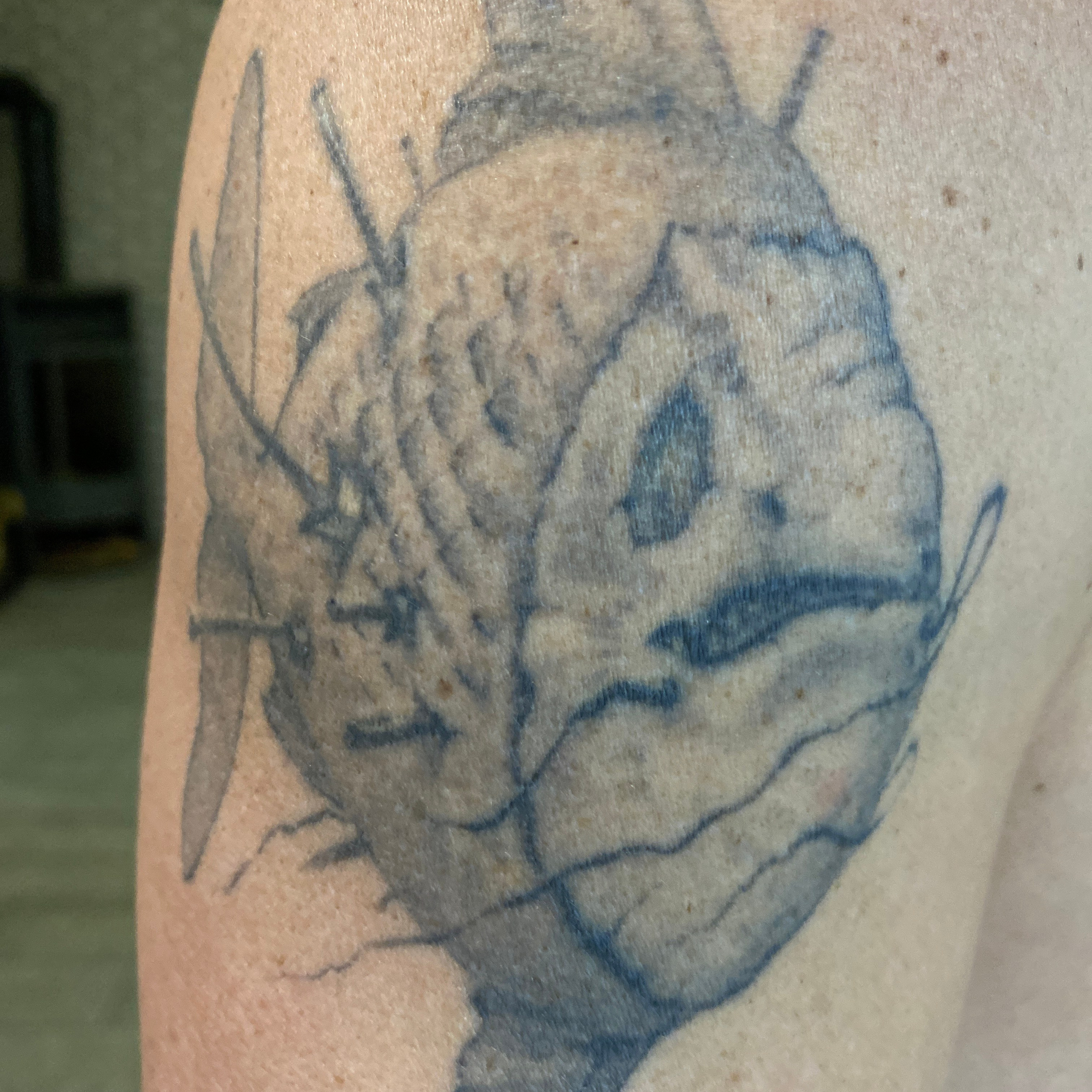 Отзывы. Helixart.ru