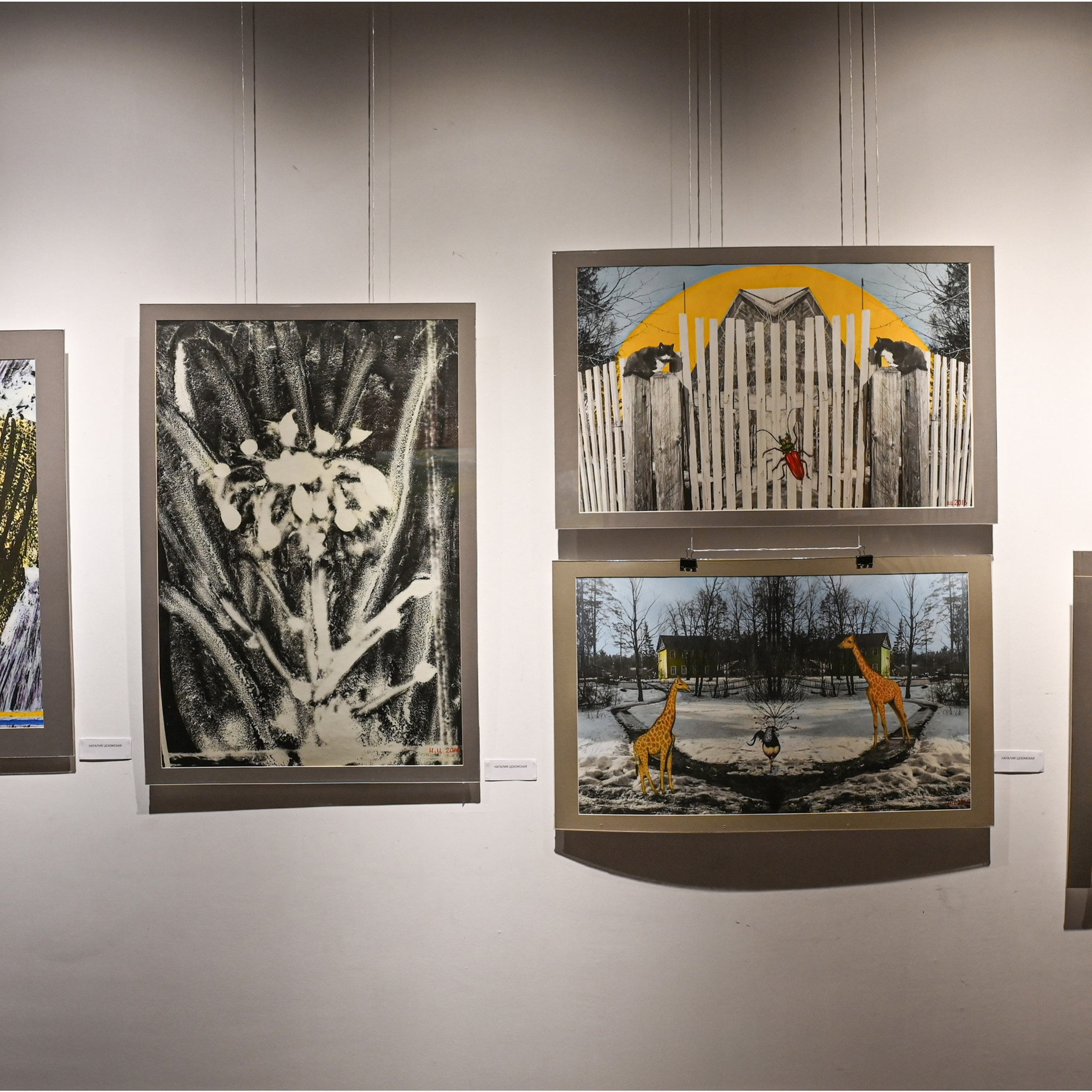 Академия БЕССМЕРТНЫХ «13»