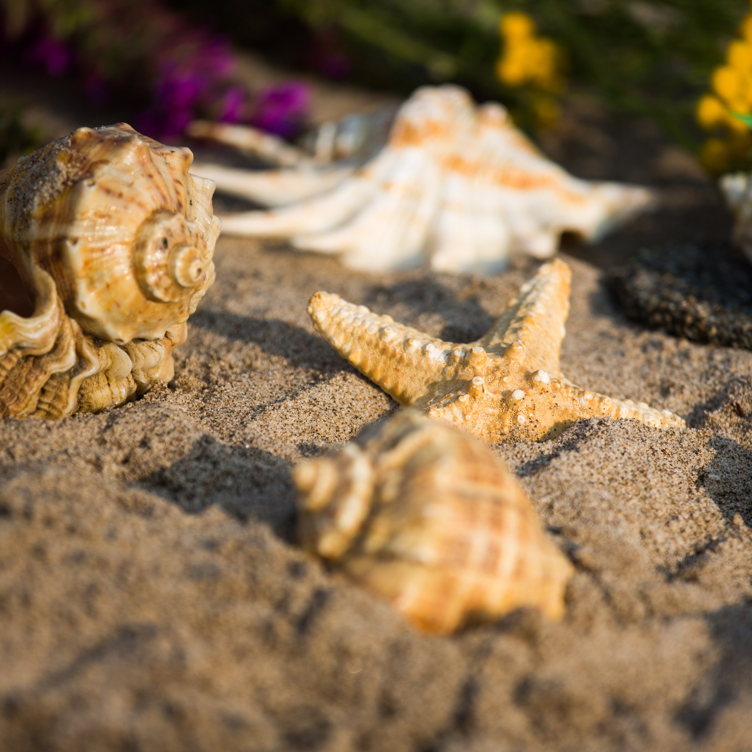 Love Story на Волге