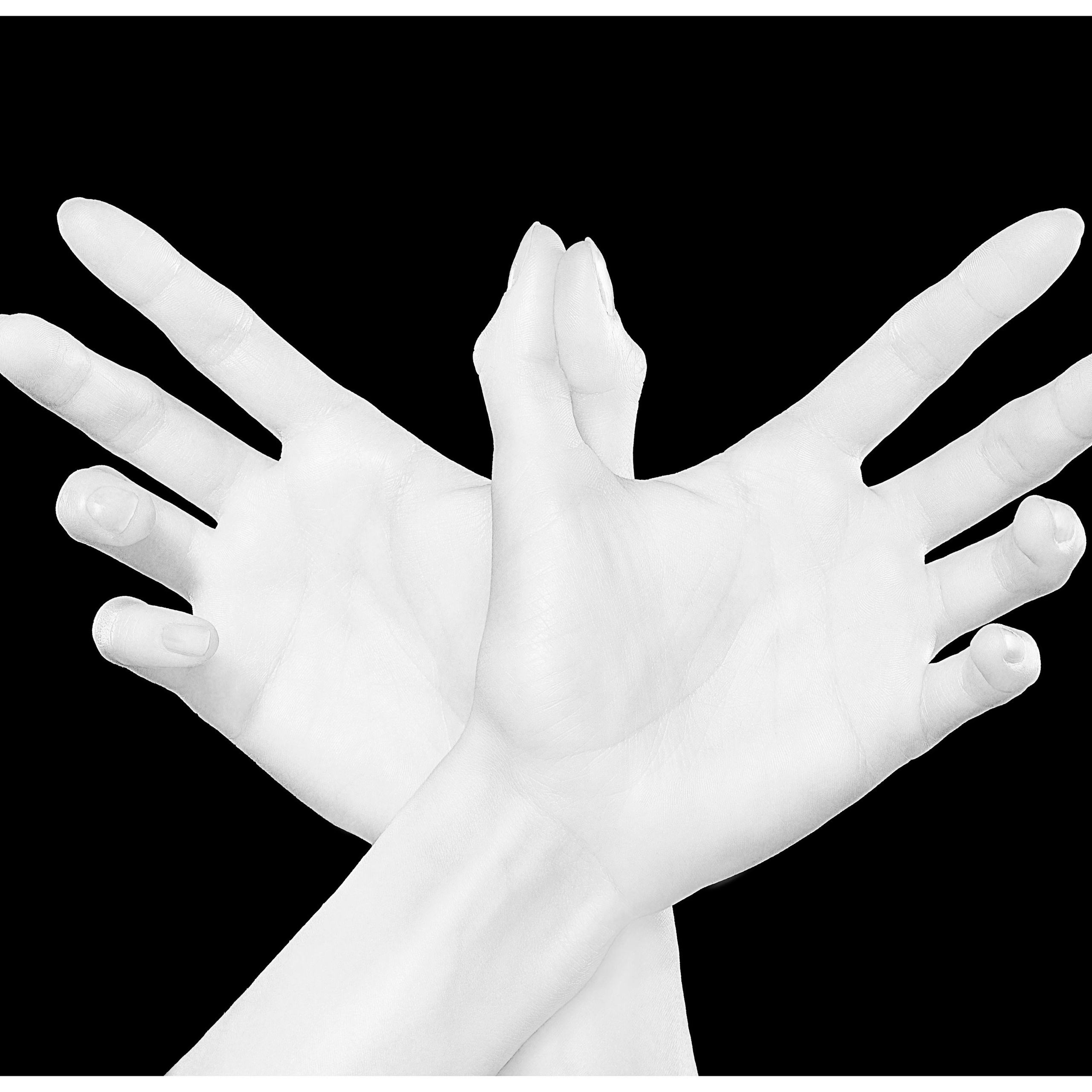 Curves of hands in an artistic photo
