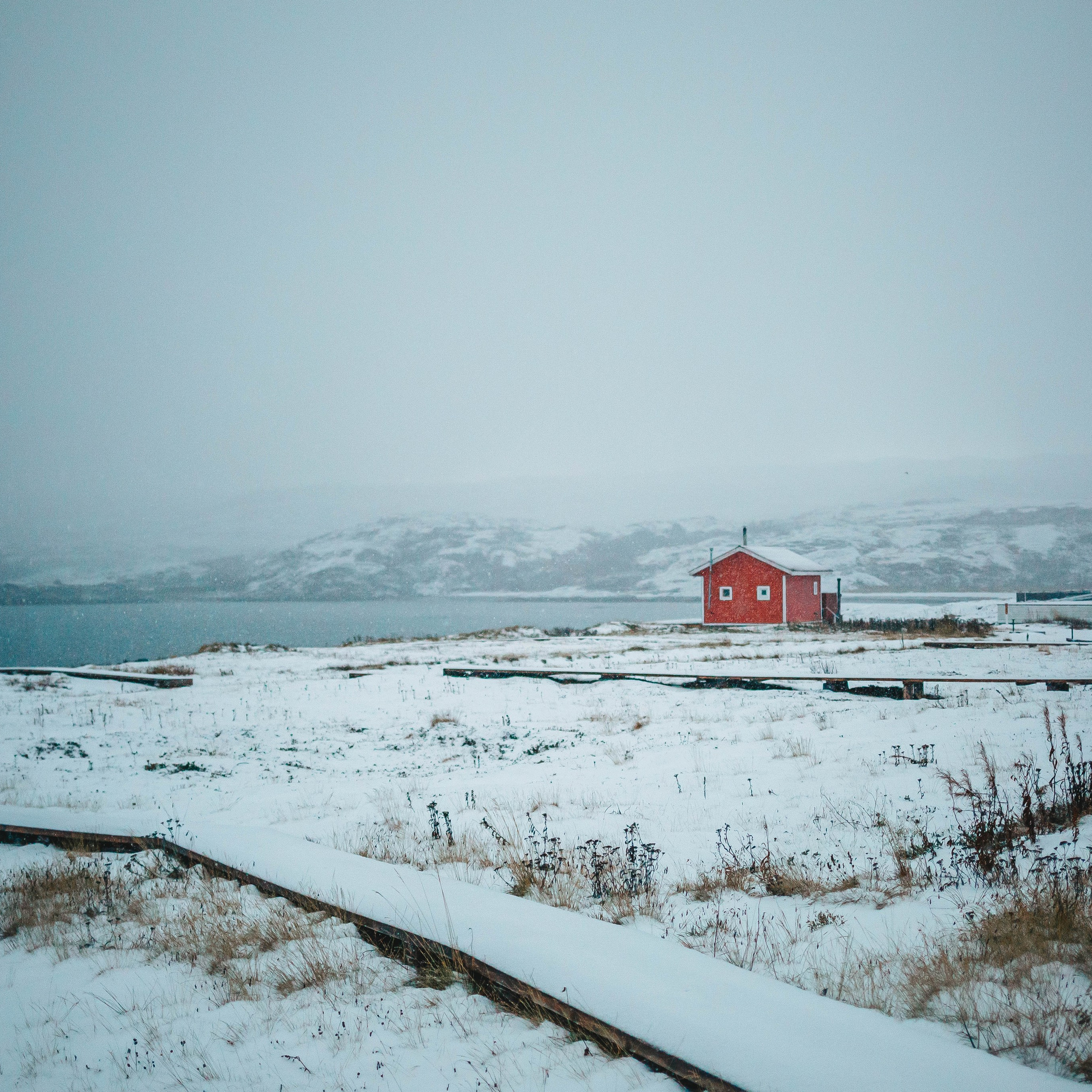 Тундра. Фотограф в Москве и на зимнем Байкале