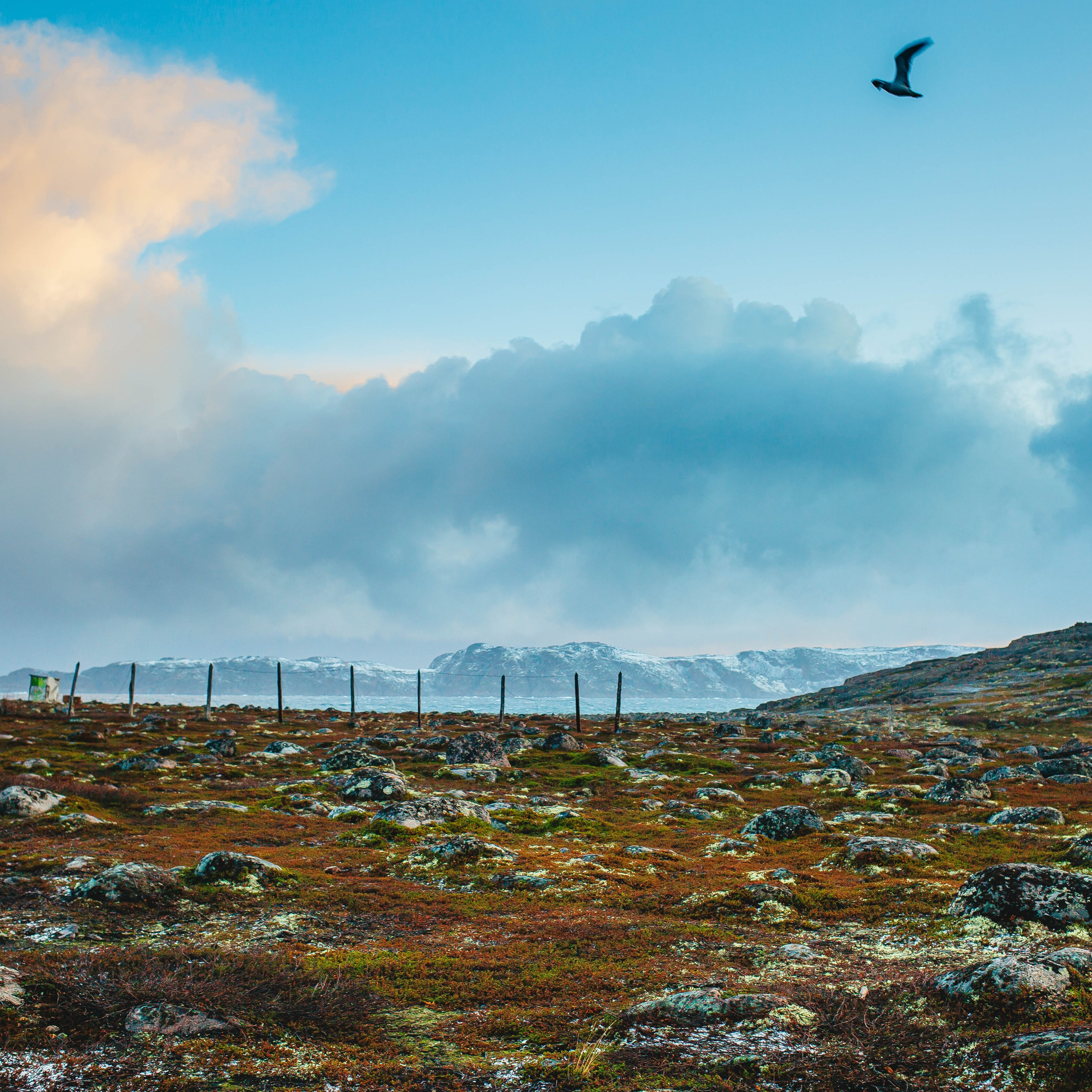 Тундра. Фотограф в Москве и на зимнем Байкале