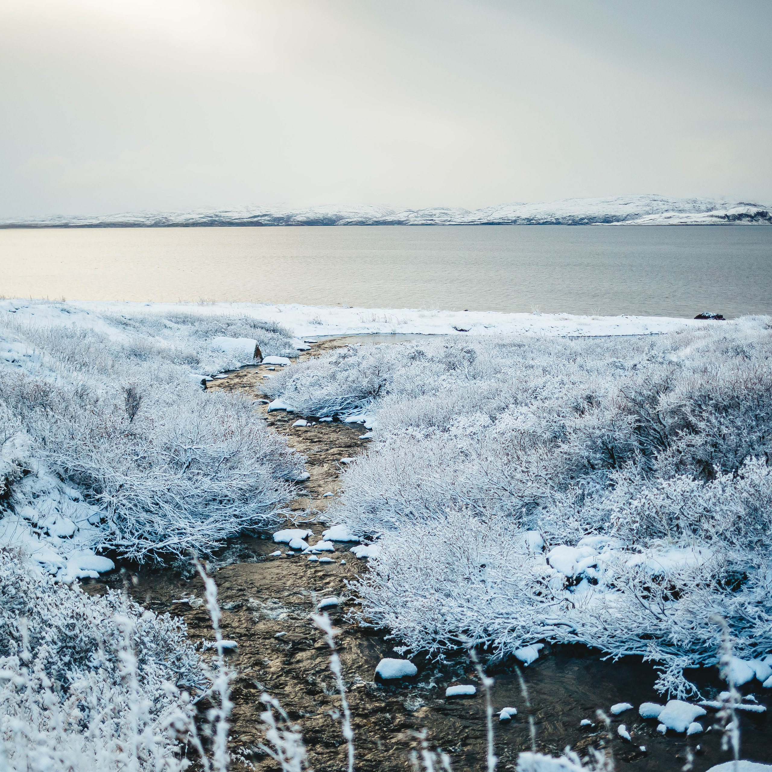 Тундра. Фотограф в Москве и на зимнем Байкале