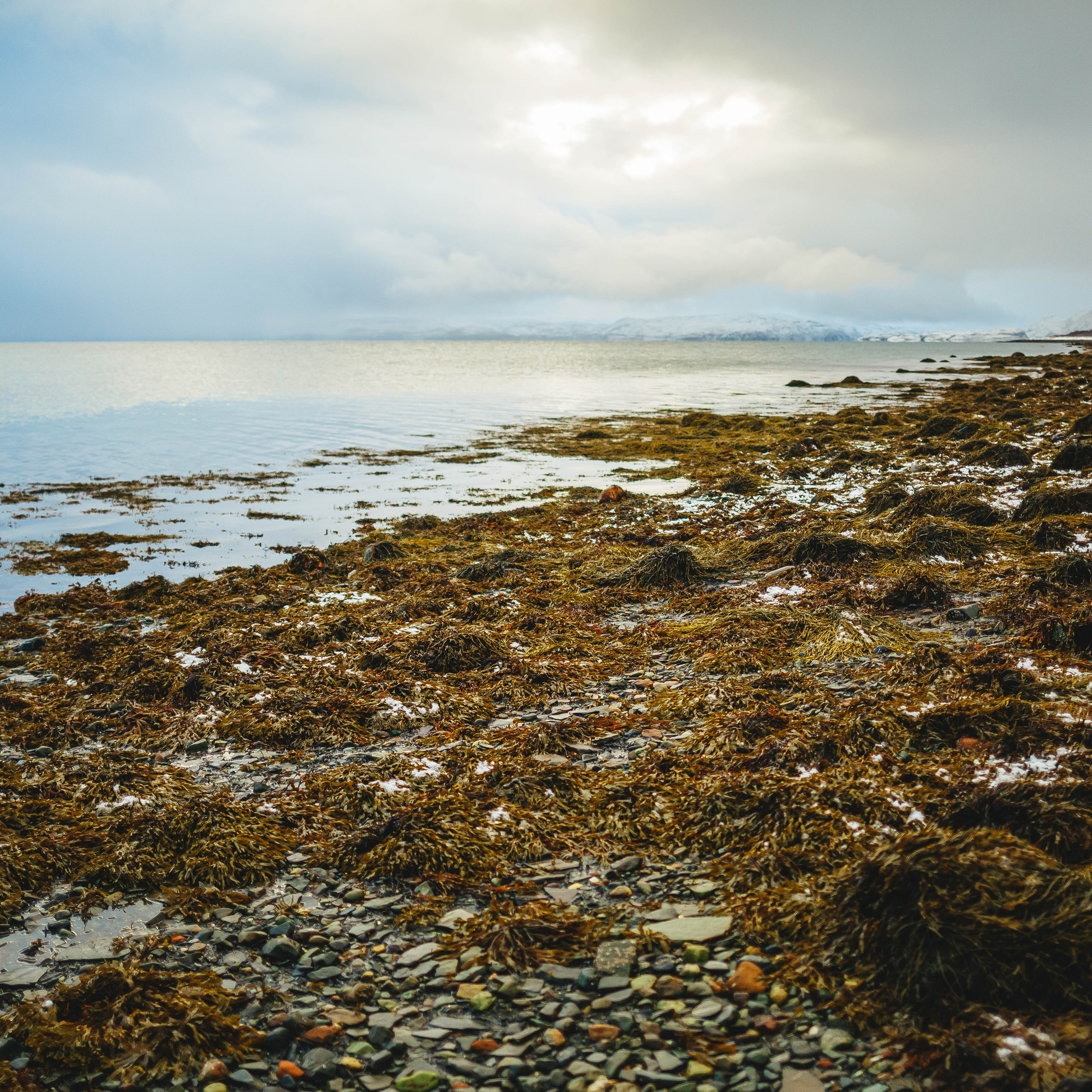 Тундра. Фотограф в Москве и на зимнем Байкале