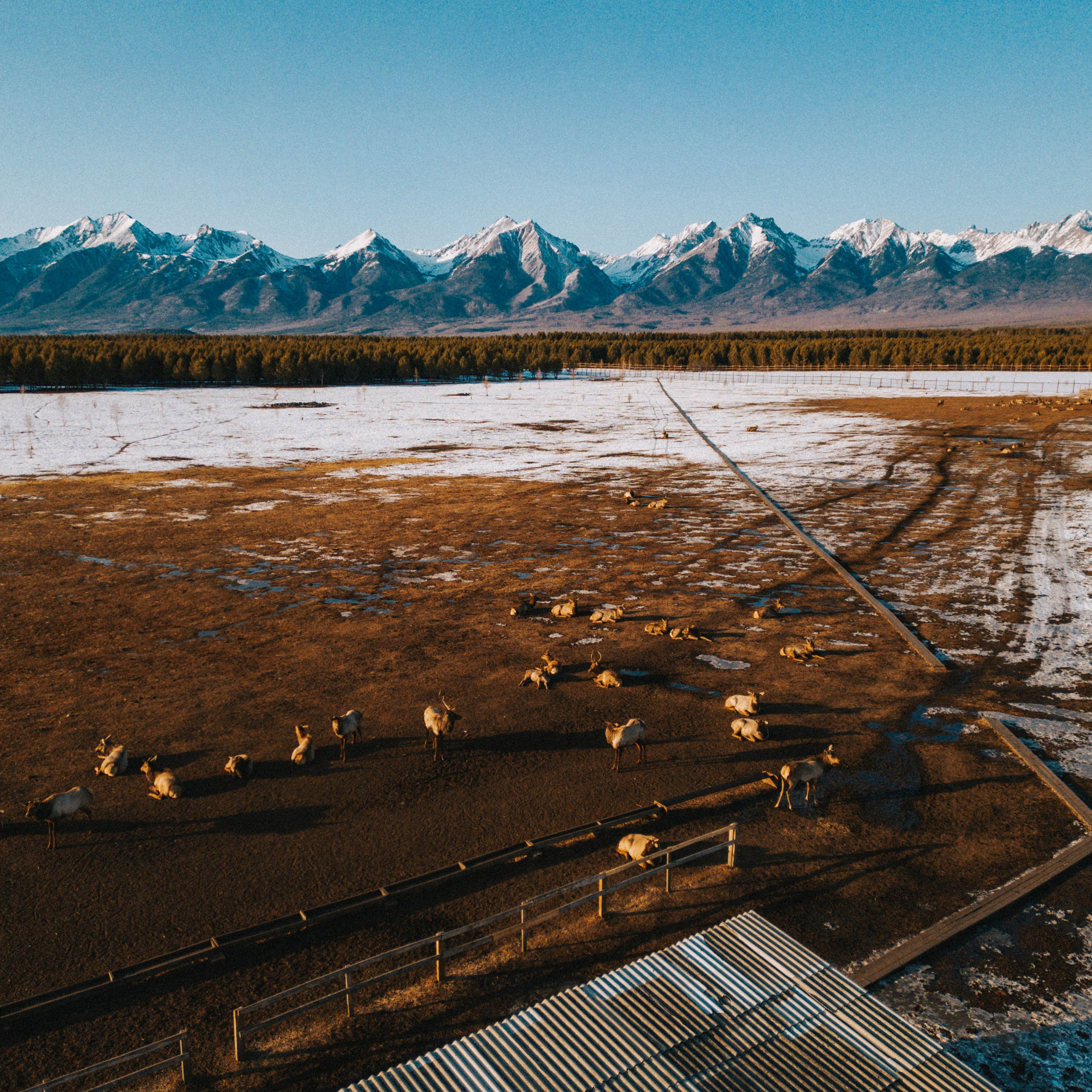 Аэросъёмка. Фотограф в Москве и на зимнем Байкале