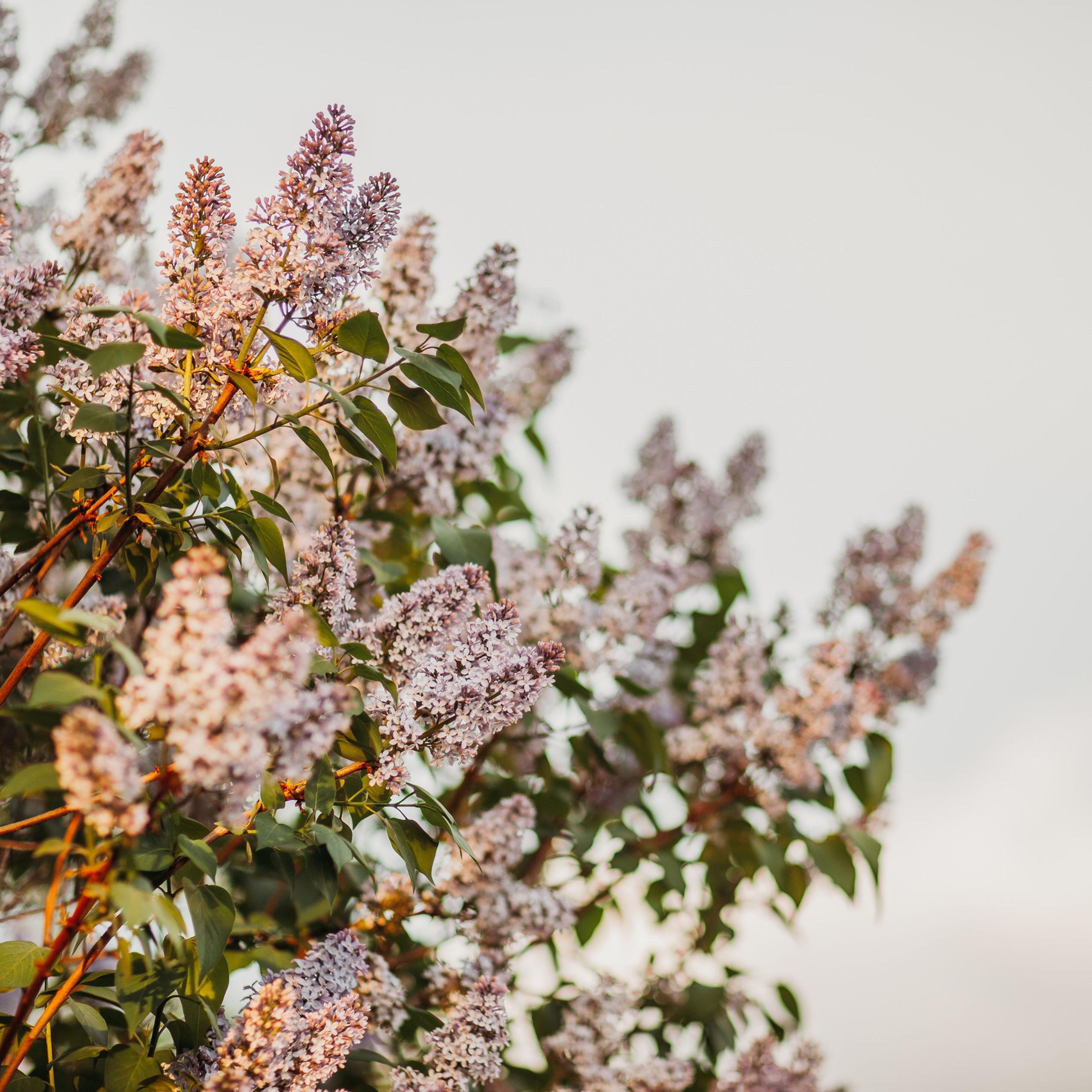 В ожидании