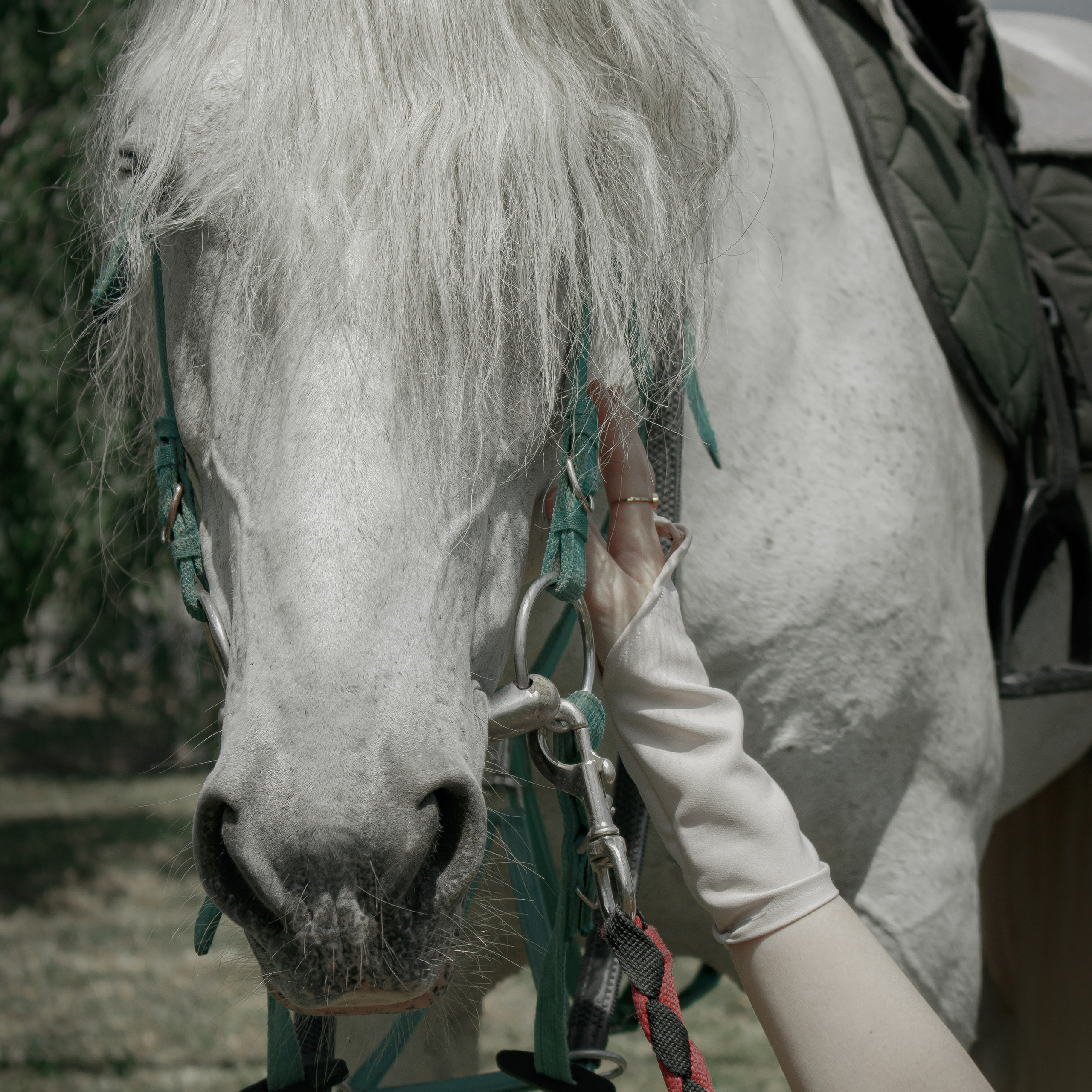 Отзывы. Свадебный/Портретный фотограф снимаю в Москве