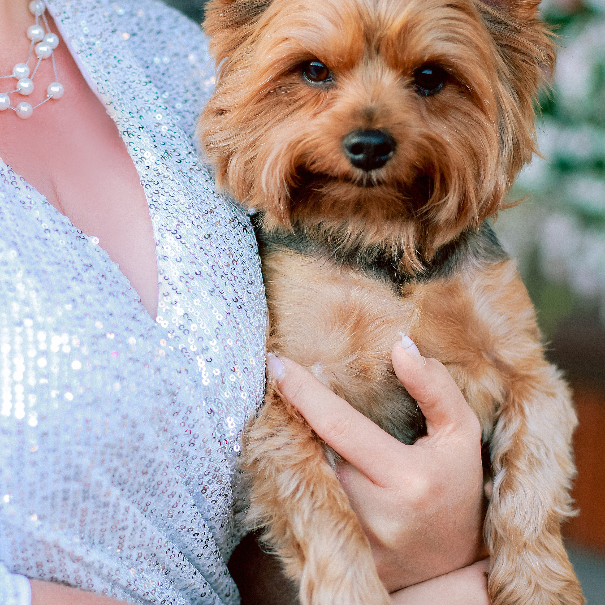 Отзывы. Свадебный/Портретный фотограф снимаю в Москве