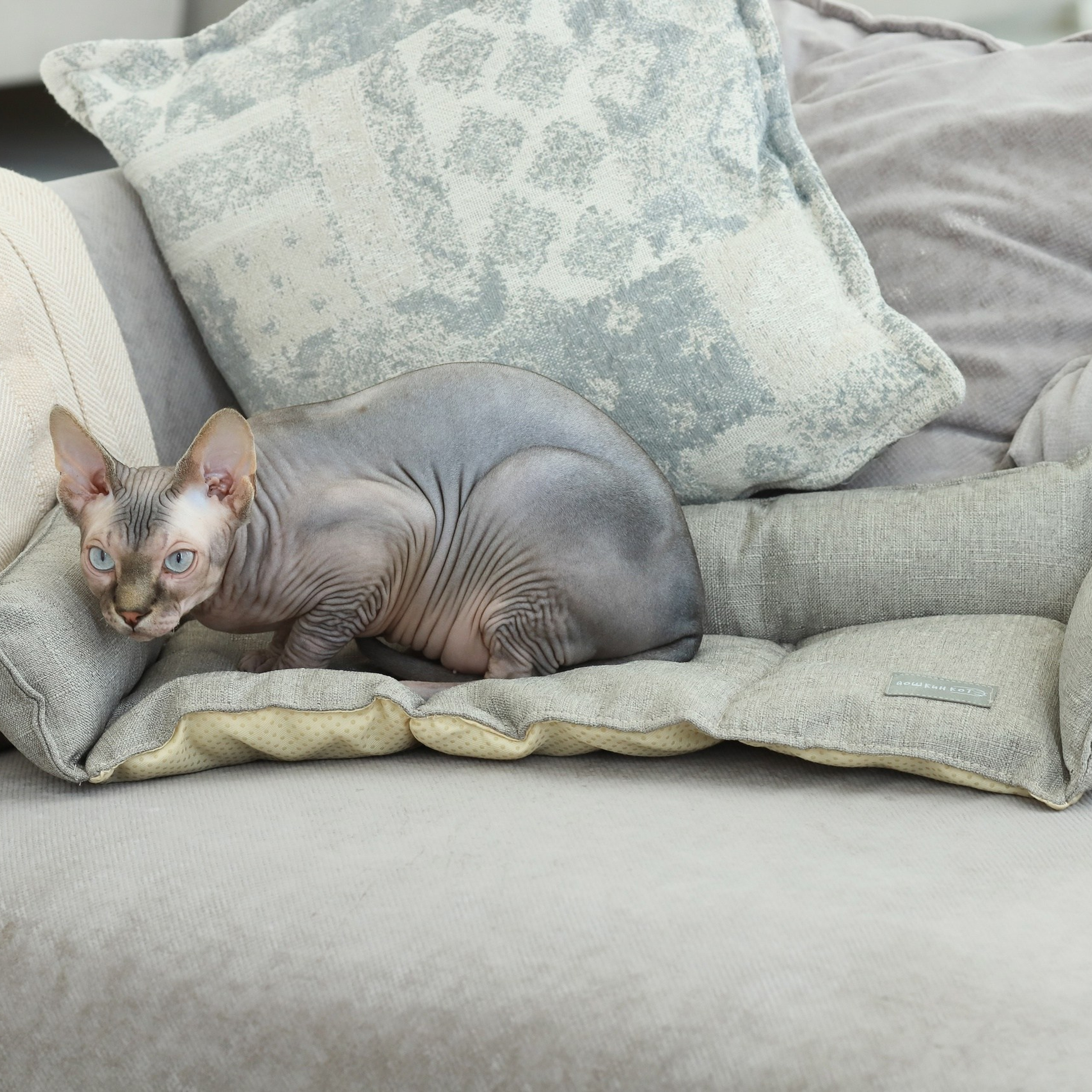 Лежак для кошек. ФОТОГРАФ ОКСАНА БРЭДШОУ