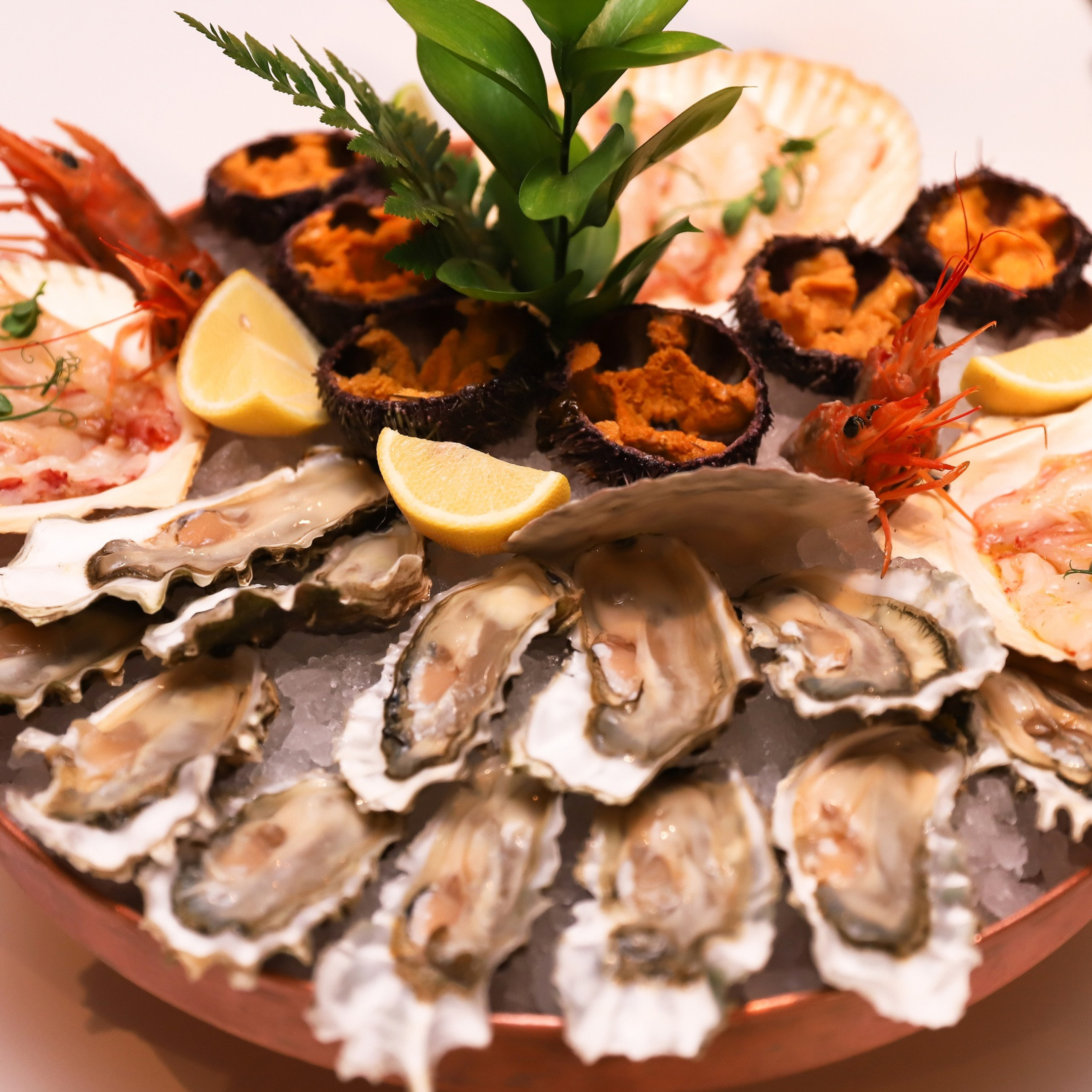 День Рождения Алёны Калугиной в 2020. ФОТОГРАФ ОКСАНА БРЭДШОУ