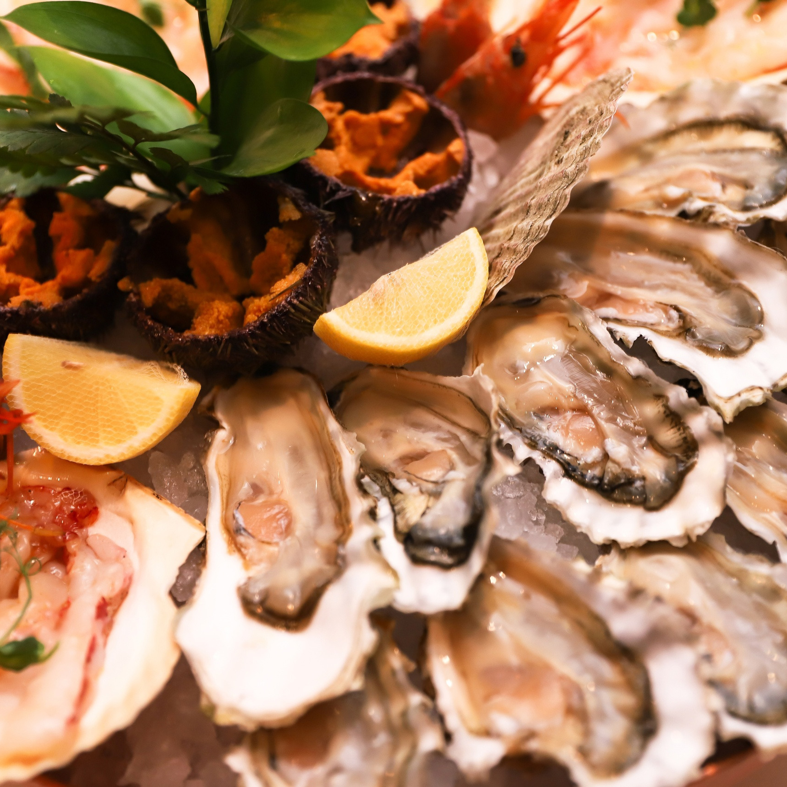 День Рождения Алёны Калугиной в 2020. ФОТОГРАФ ОКСАНА БРЭДШОУ