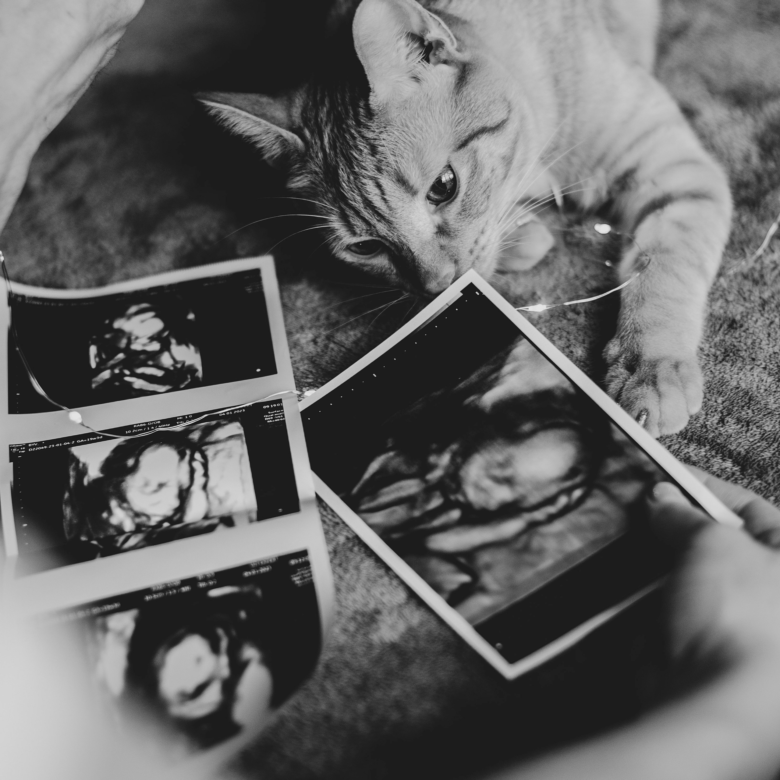 Домашняя уютная история