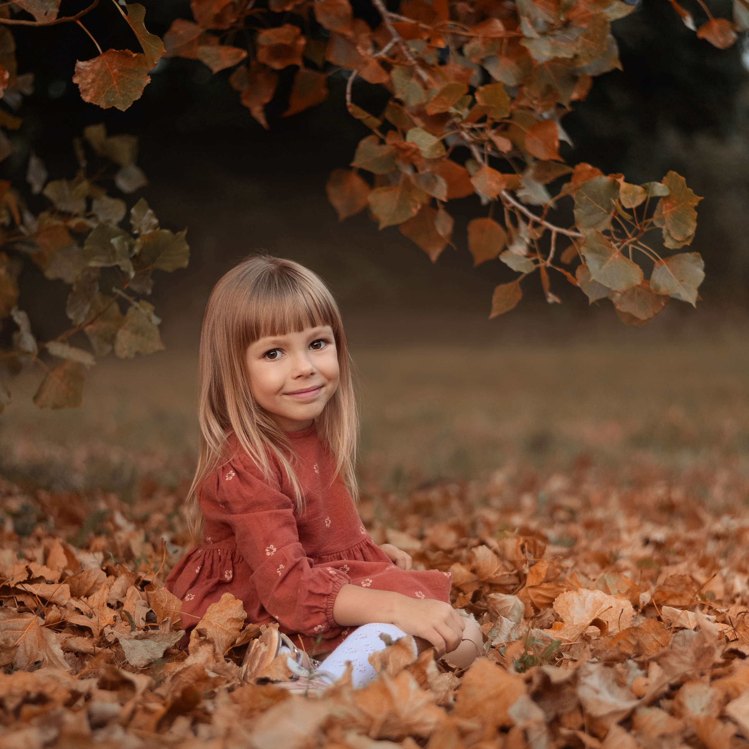 Прогулка с домашним питомцем