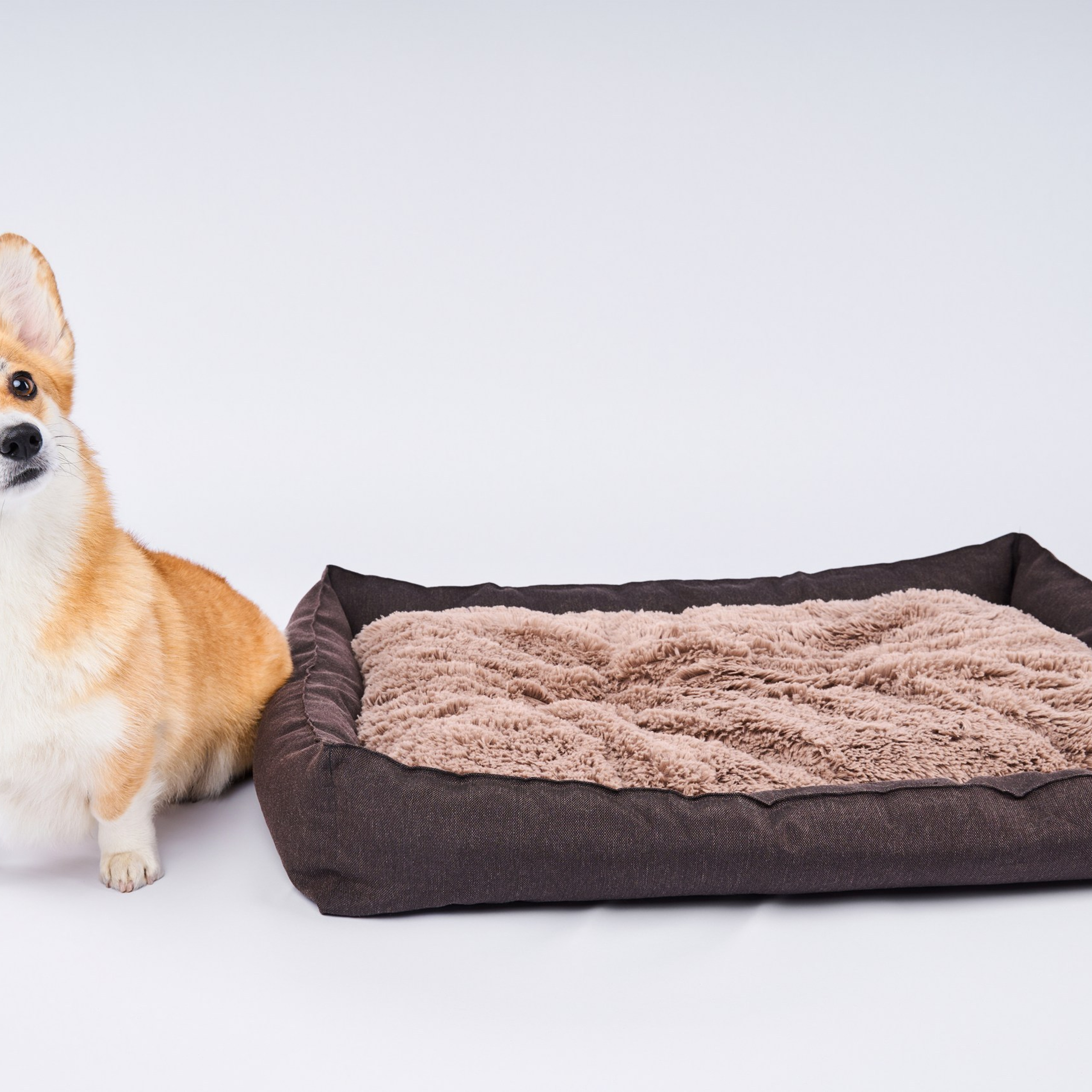 Отзывы. Фотостудия123