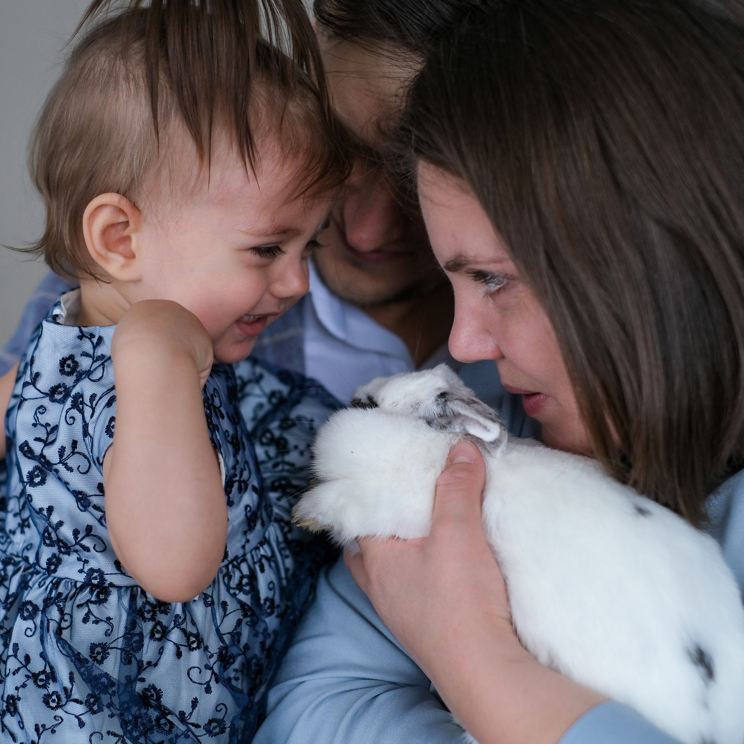 Алиса с родителями в гостях у Белого кролика