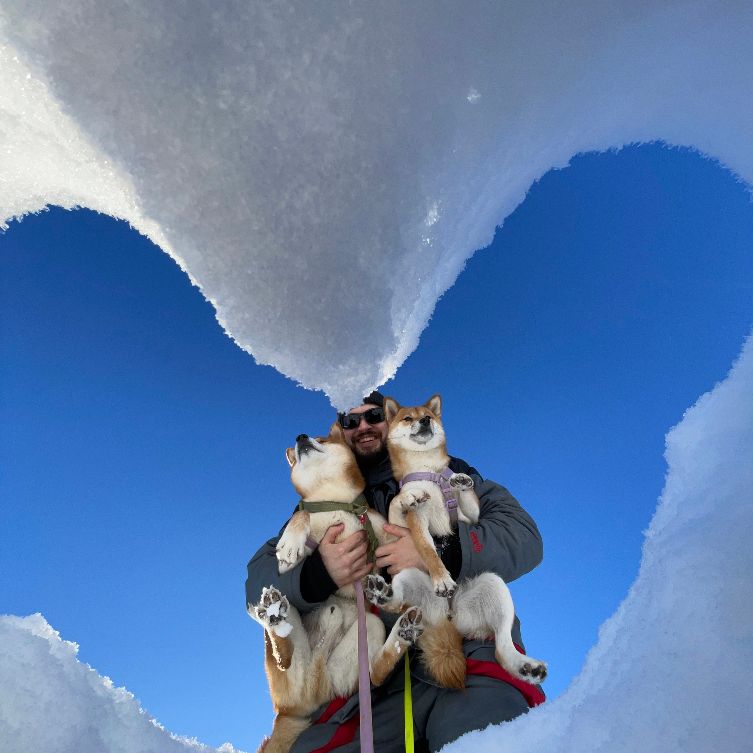 Отзывы. Графический дизайнер Илья Левченко