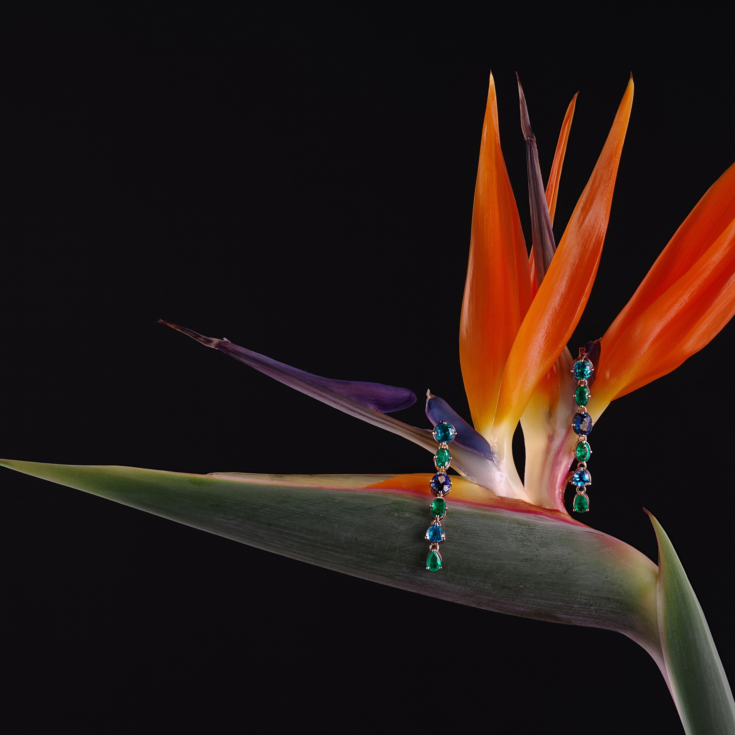 Ювелирная съемка