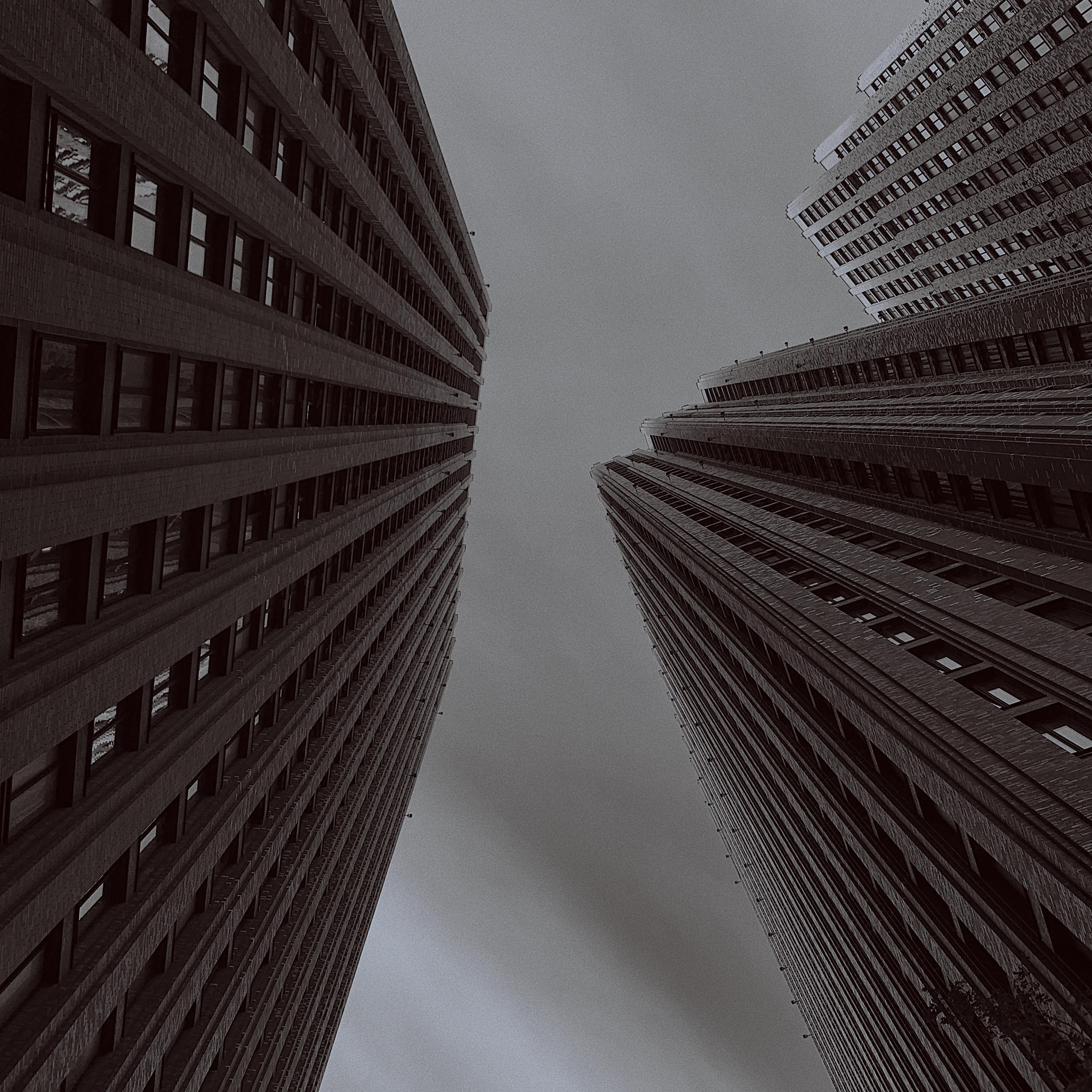 @oxotnica_za_lidami. Фотограф в Москве Костерева Екатерина