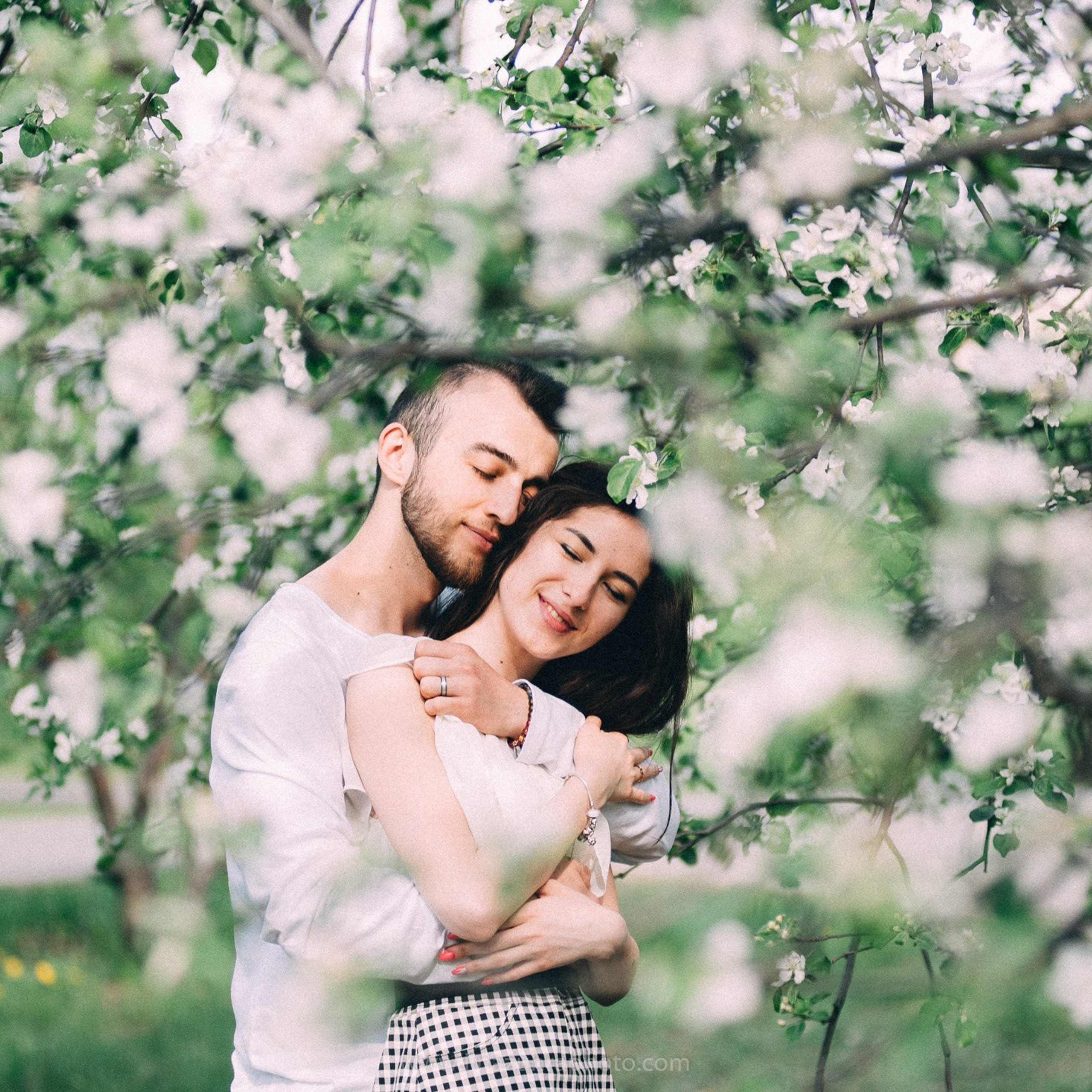 Алмаз и Айназ. Яблони