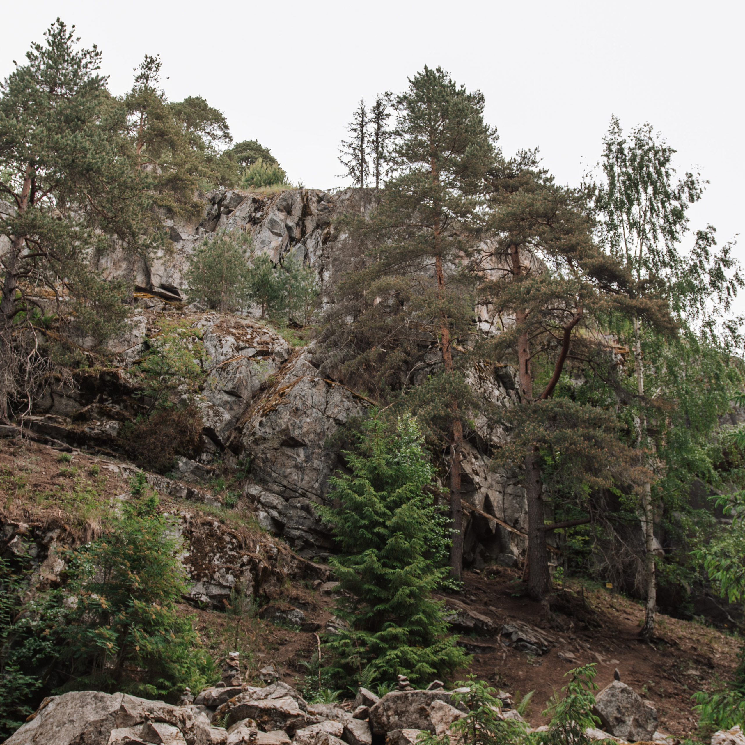 Отзывы. Профессиональный фотограф и видеограф в Сортавала Ася Легконогова