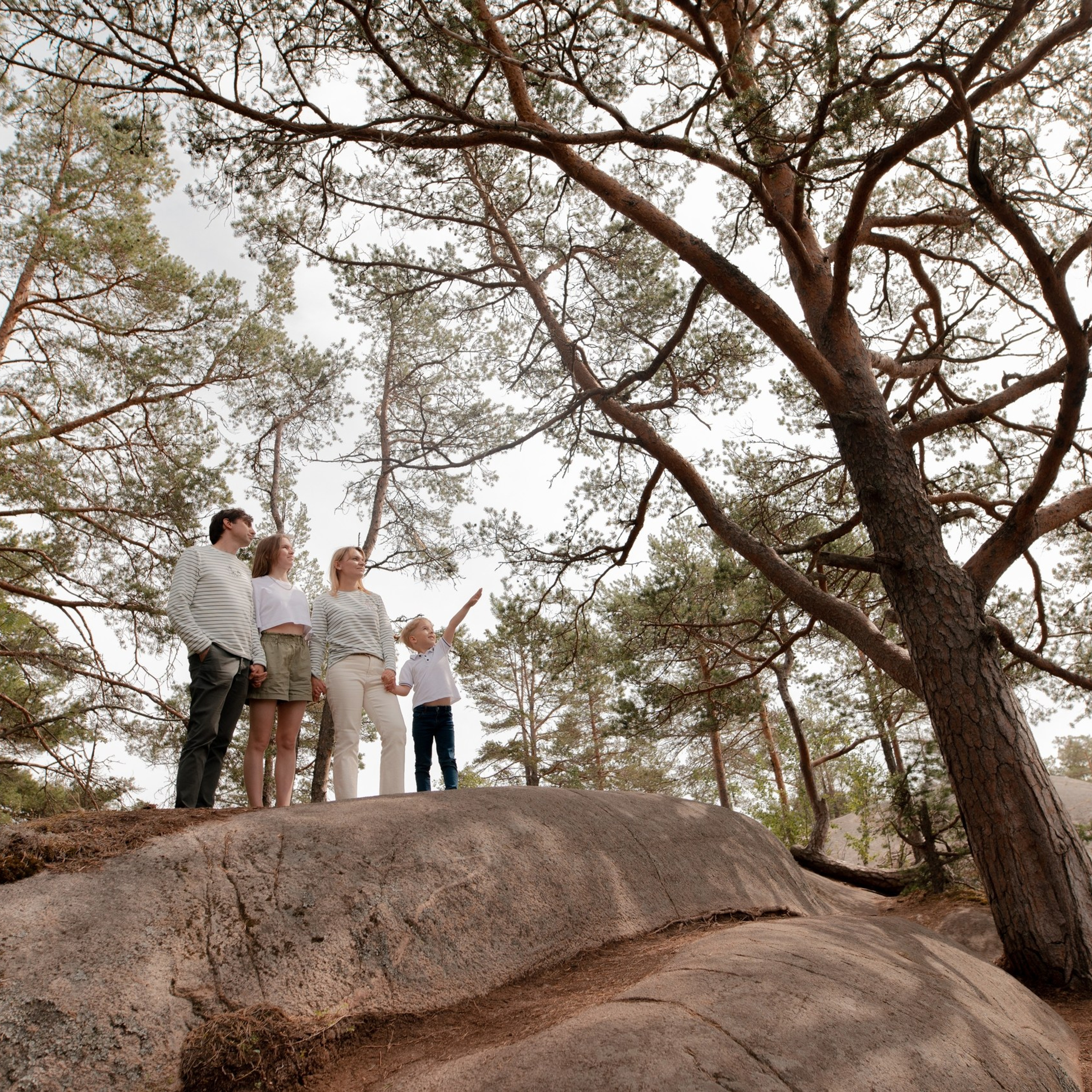 Хонкасало: сосновый остров