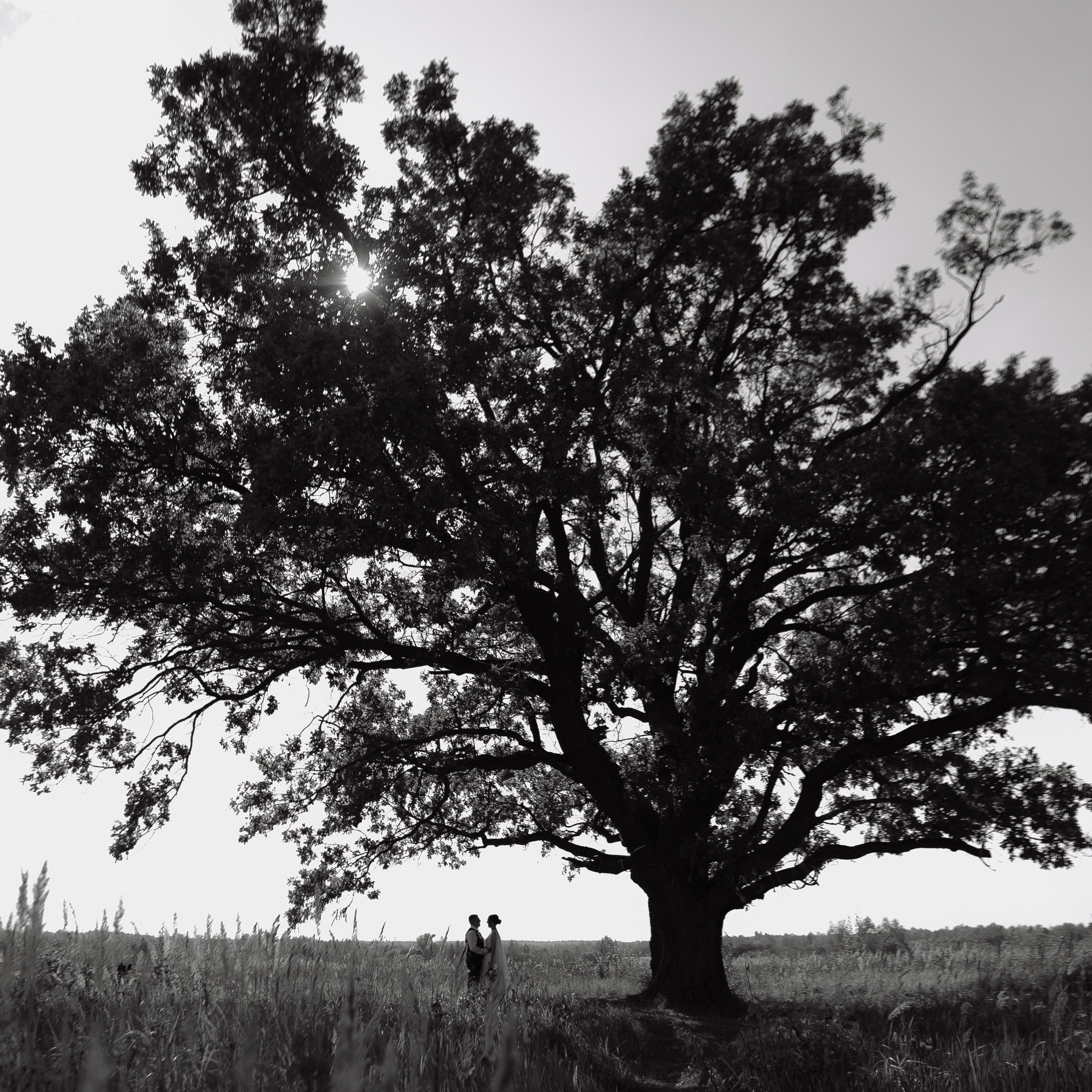 Отзывы. Фотограф Кольчугино/Владимир/Москва Елизавета Иода