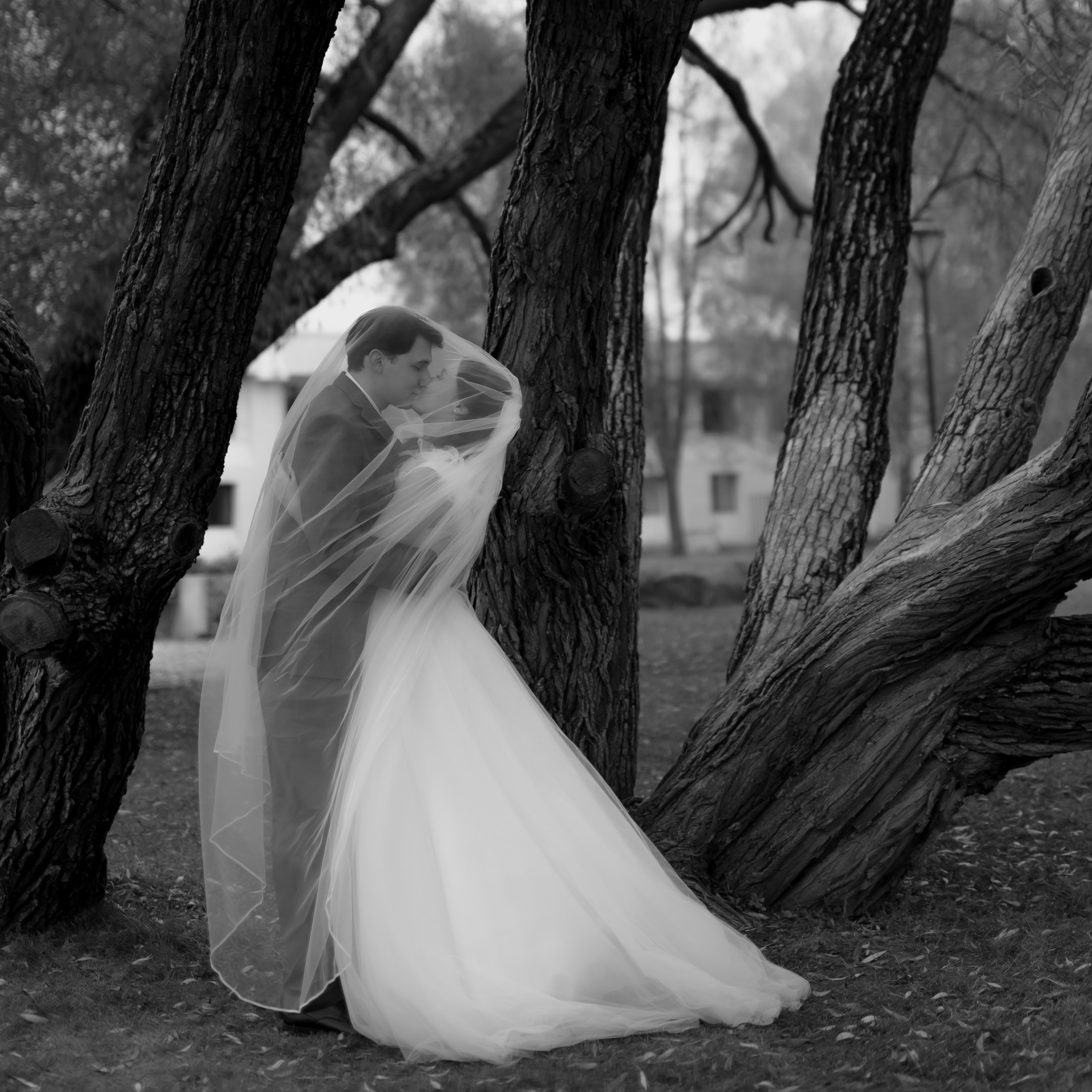 Анонсы. Фотограф Кольчугино/Владимир/Москва Елизавета Иода