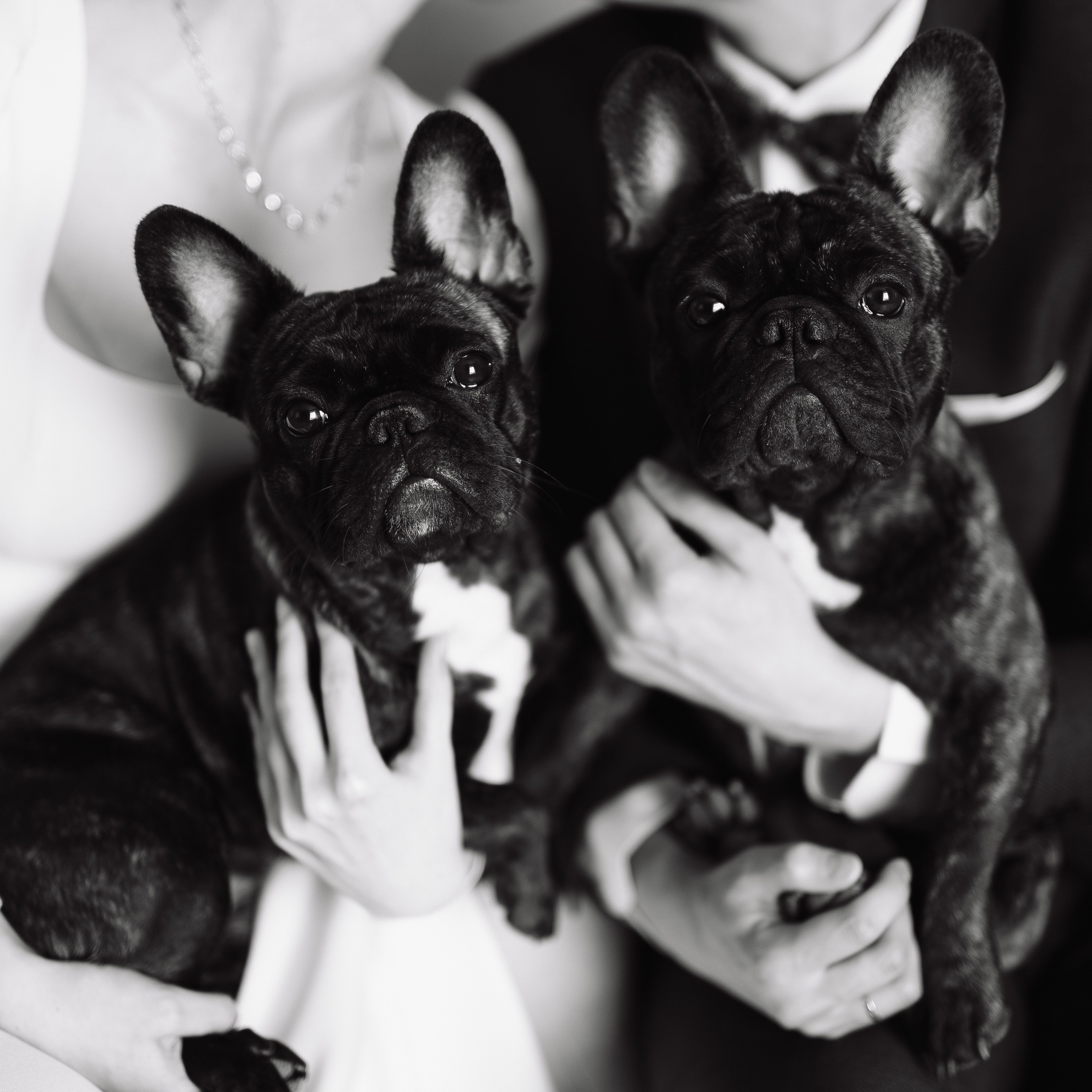 Отзывы. Фотограф Кольчугино/Владимир/Москва Елизавета Иода