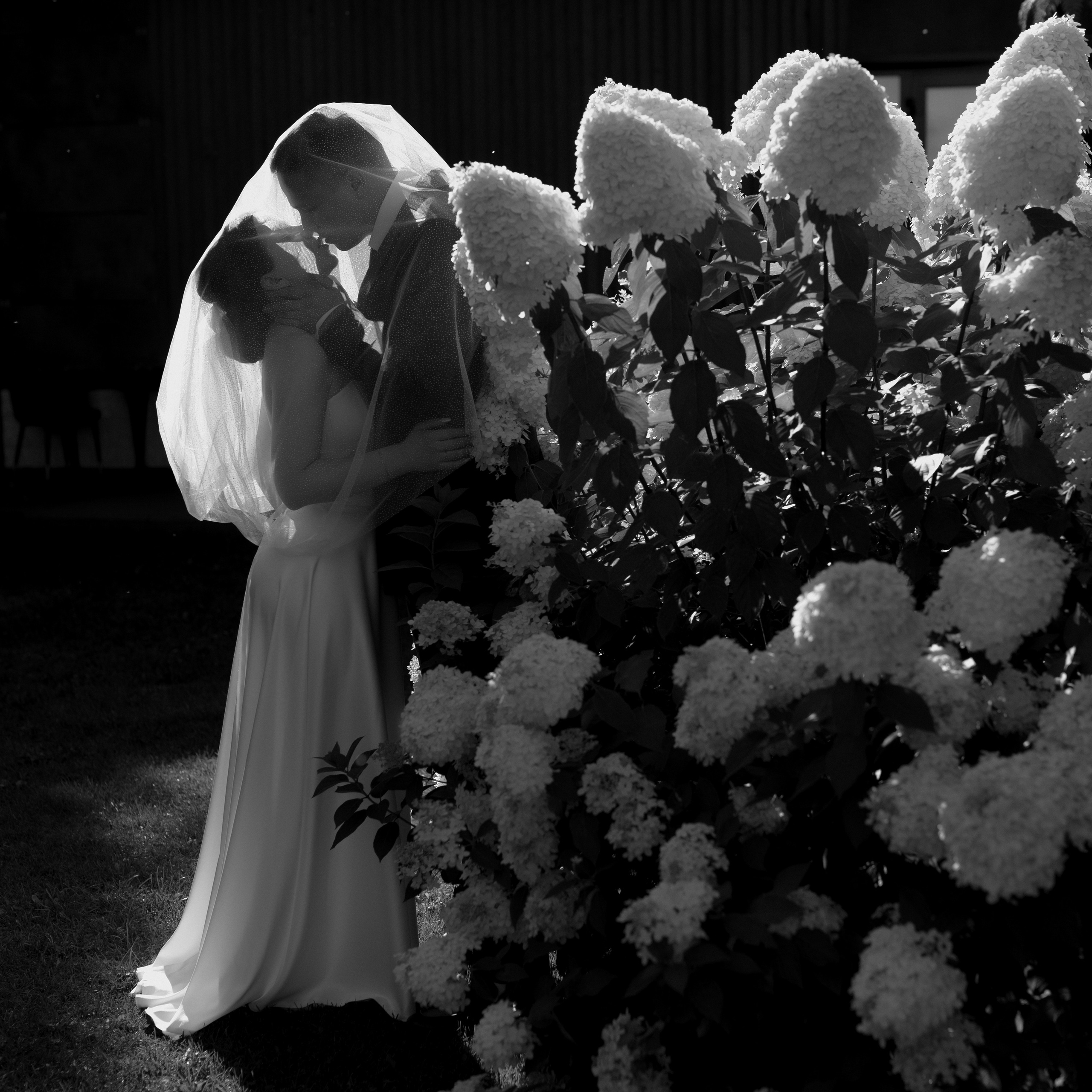 Анонсы. Фотограф Кольчугино/Владимир/Москва Елизавета Иода