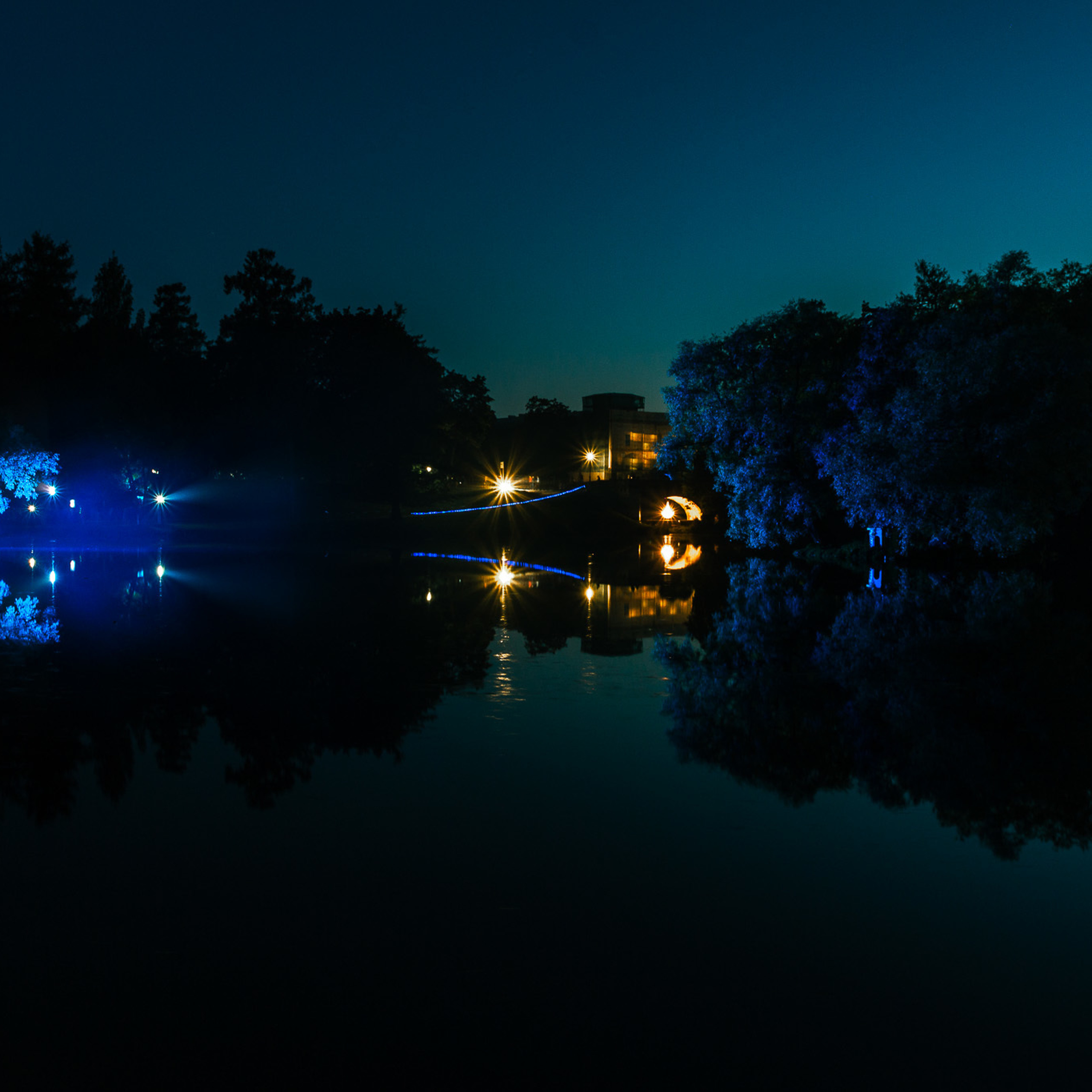 Ночь Света • Гатчина