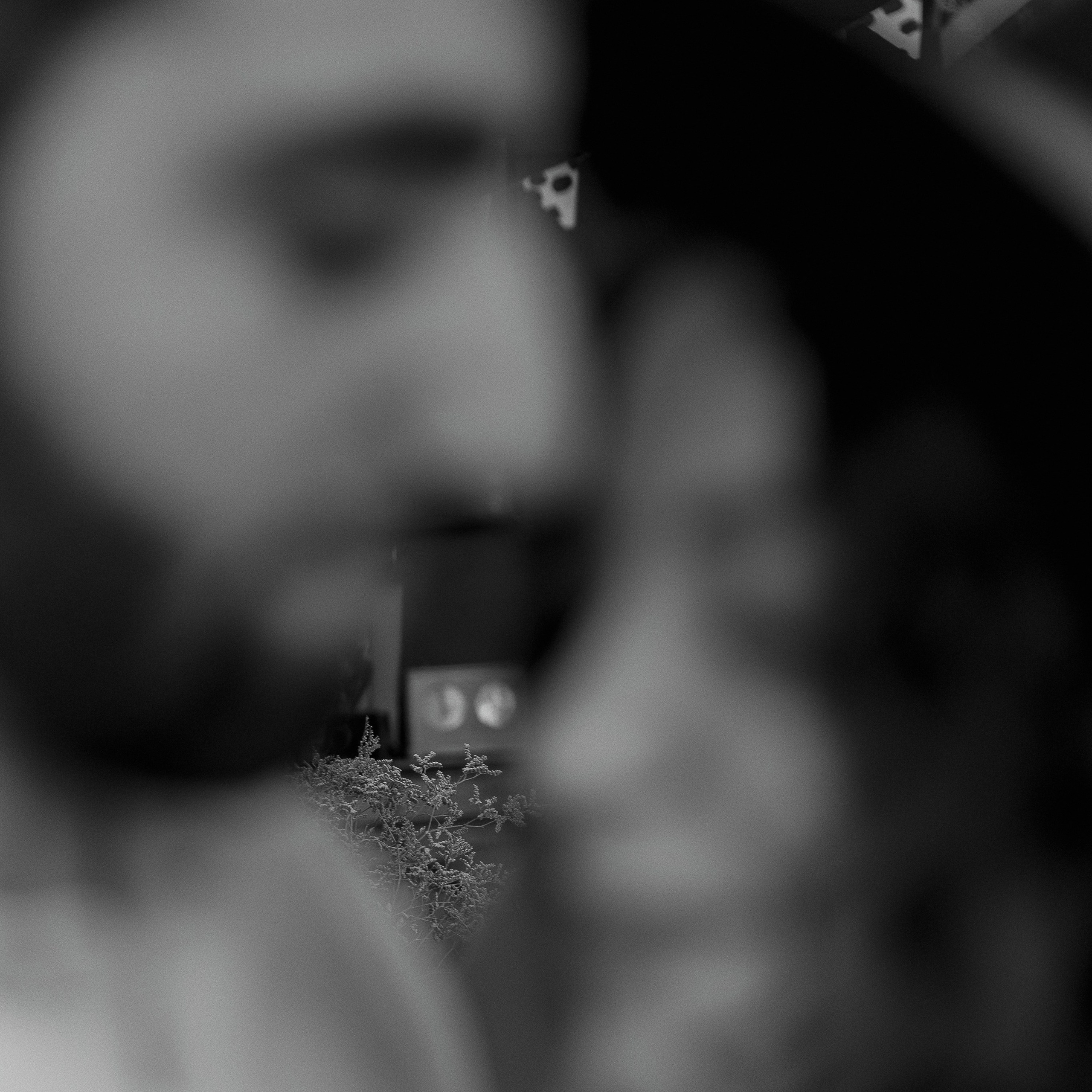 Любовная история Альберта и Зарины