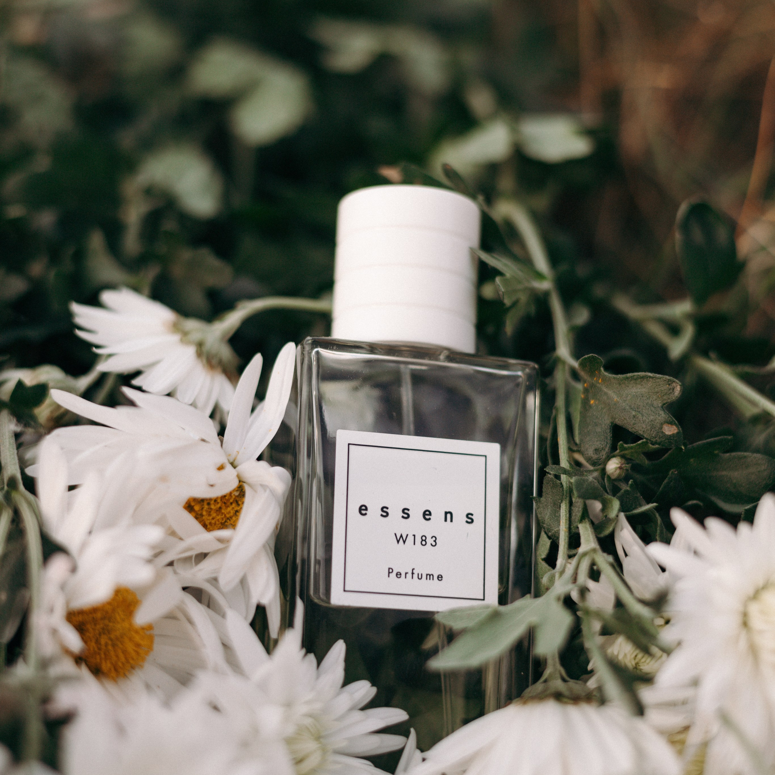 Кейс аромастилист