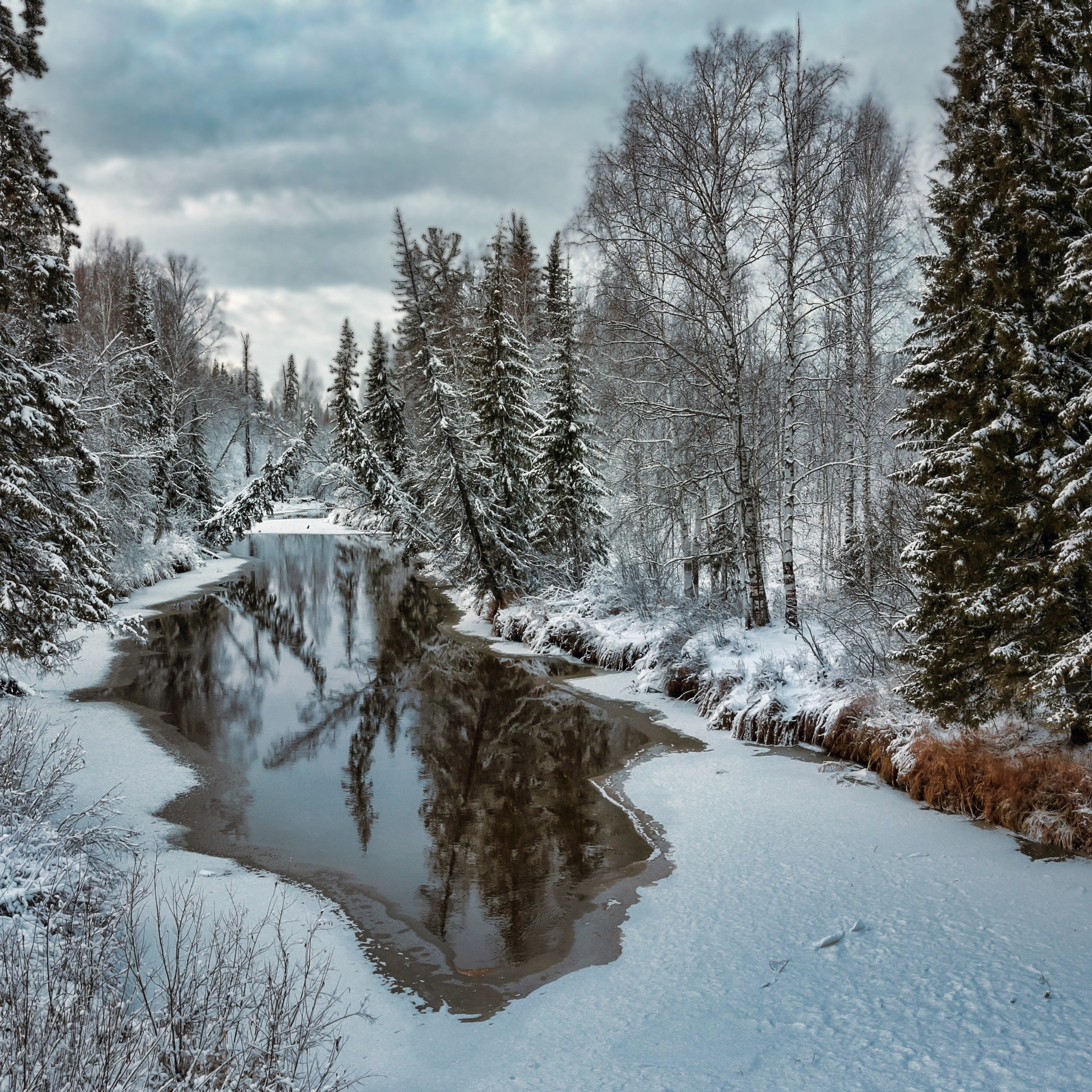 Фотограф Татьяна Борисова