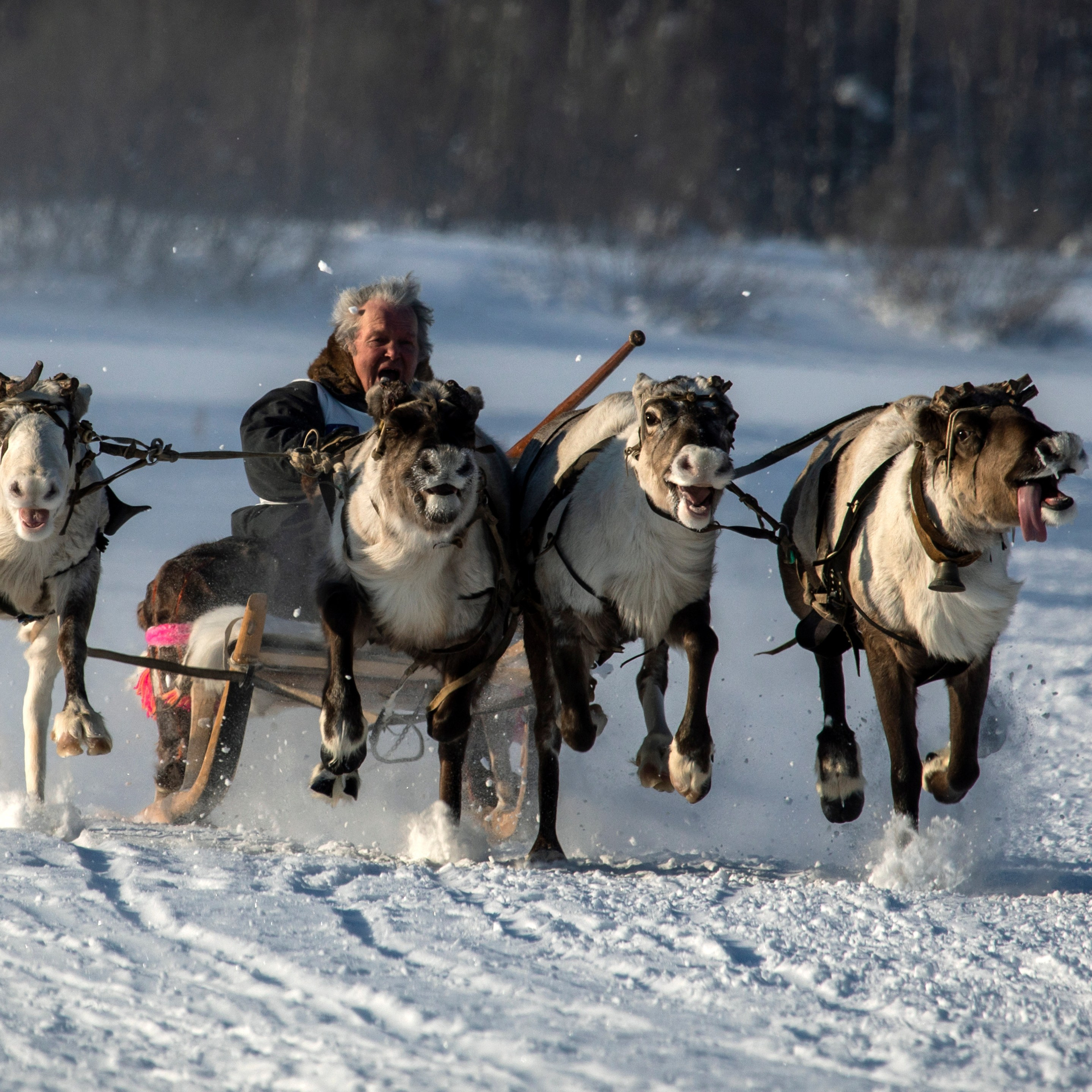 Фотограф Татьяна Борисова