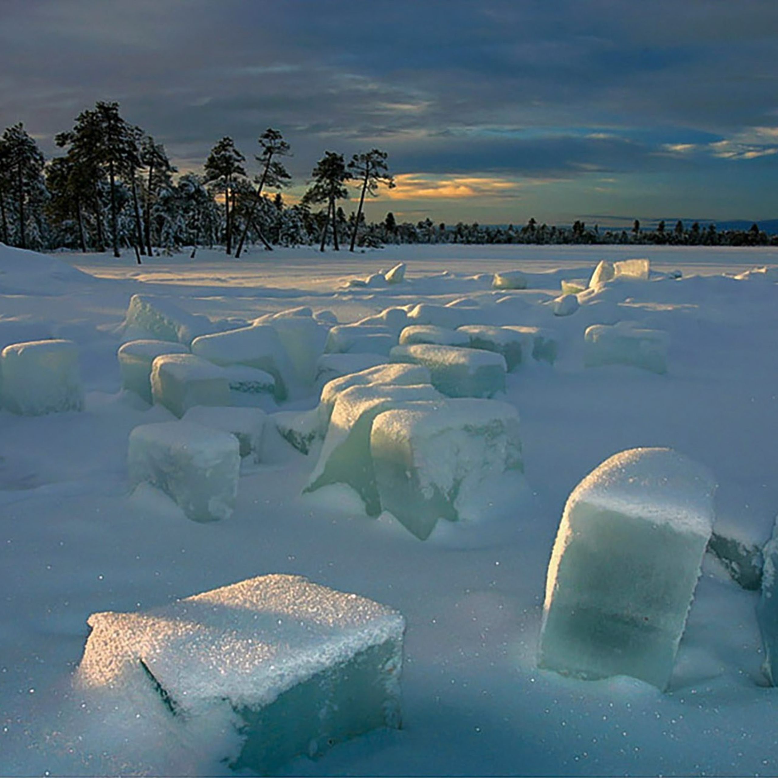 Фотограф Татьяна Борисова