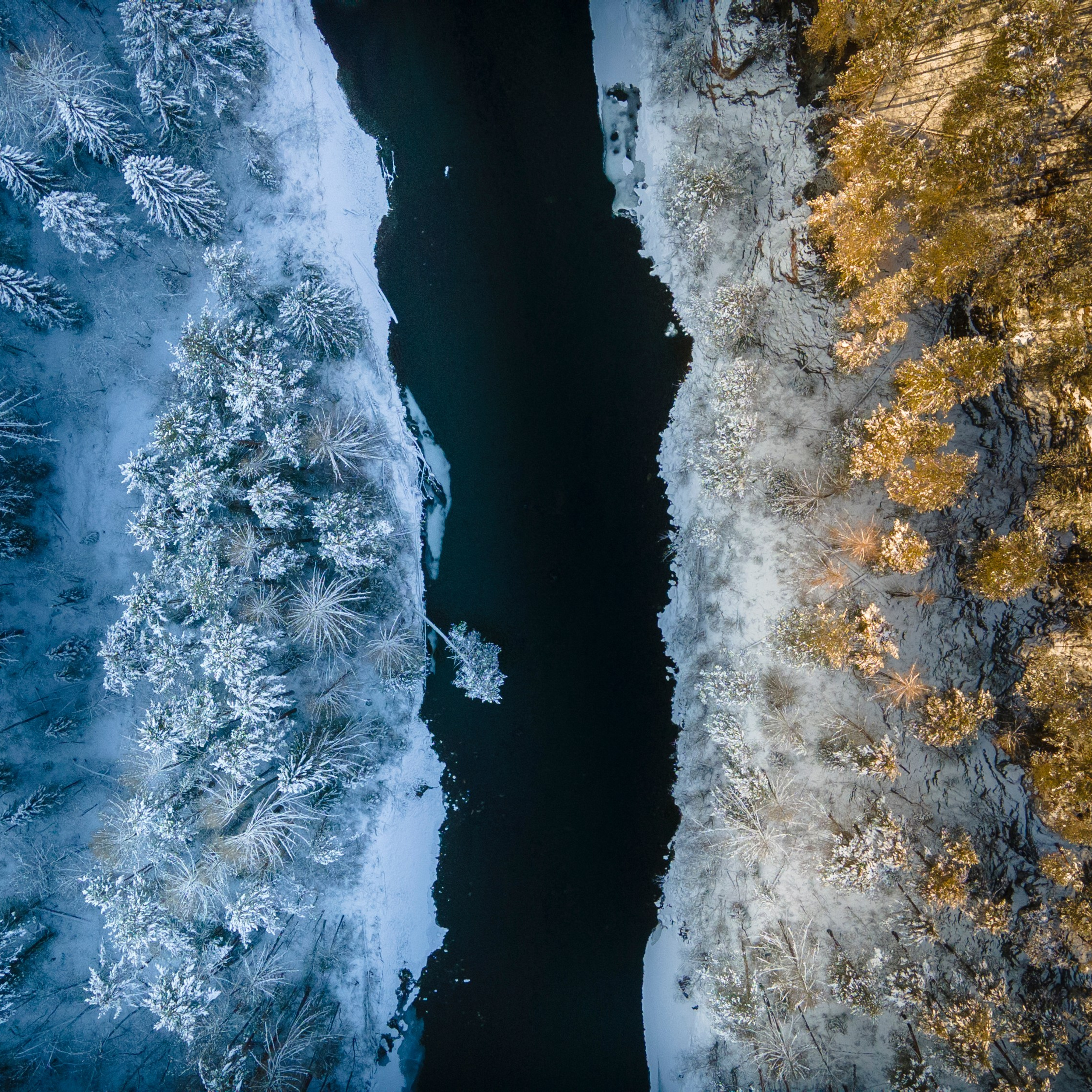 Фотограф Татьяна Борисова