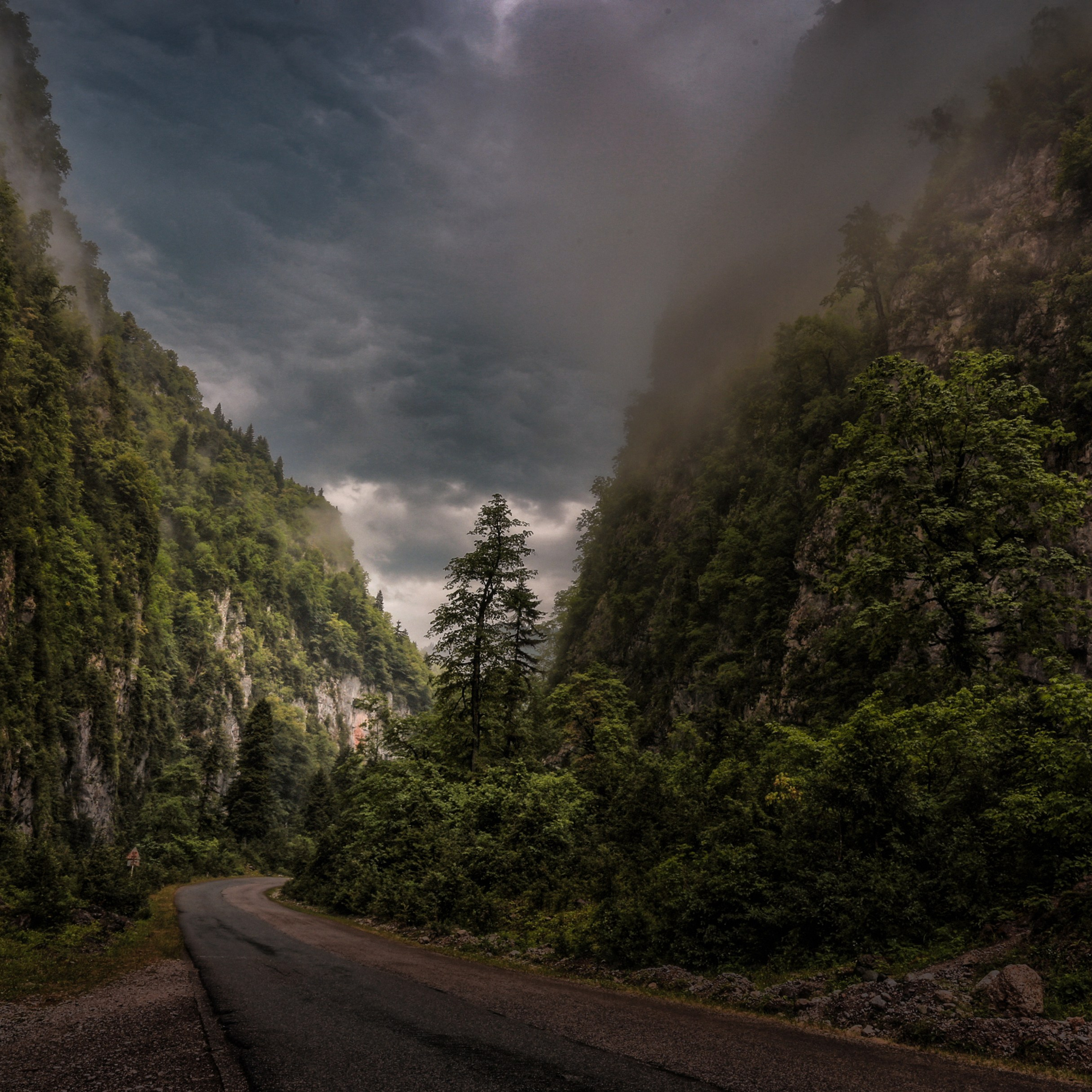 Фотограф Татьяна Борисова