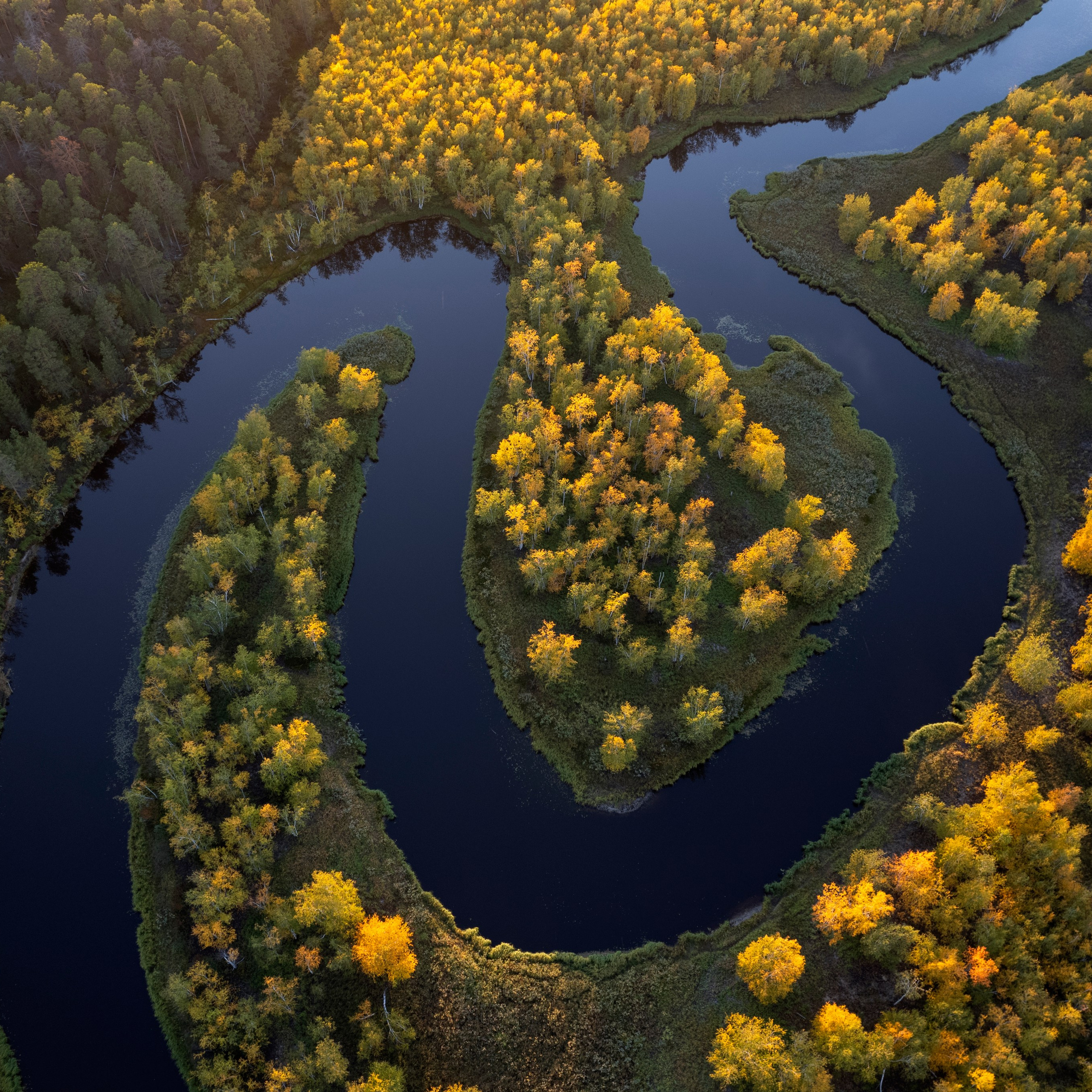 Фотограф Татьяна Борисова