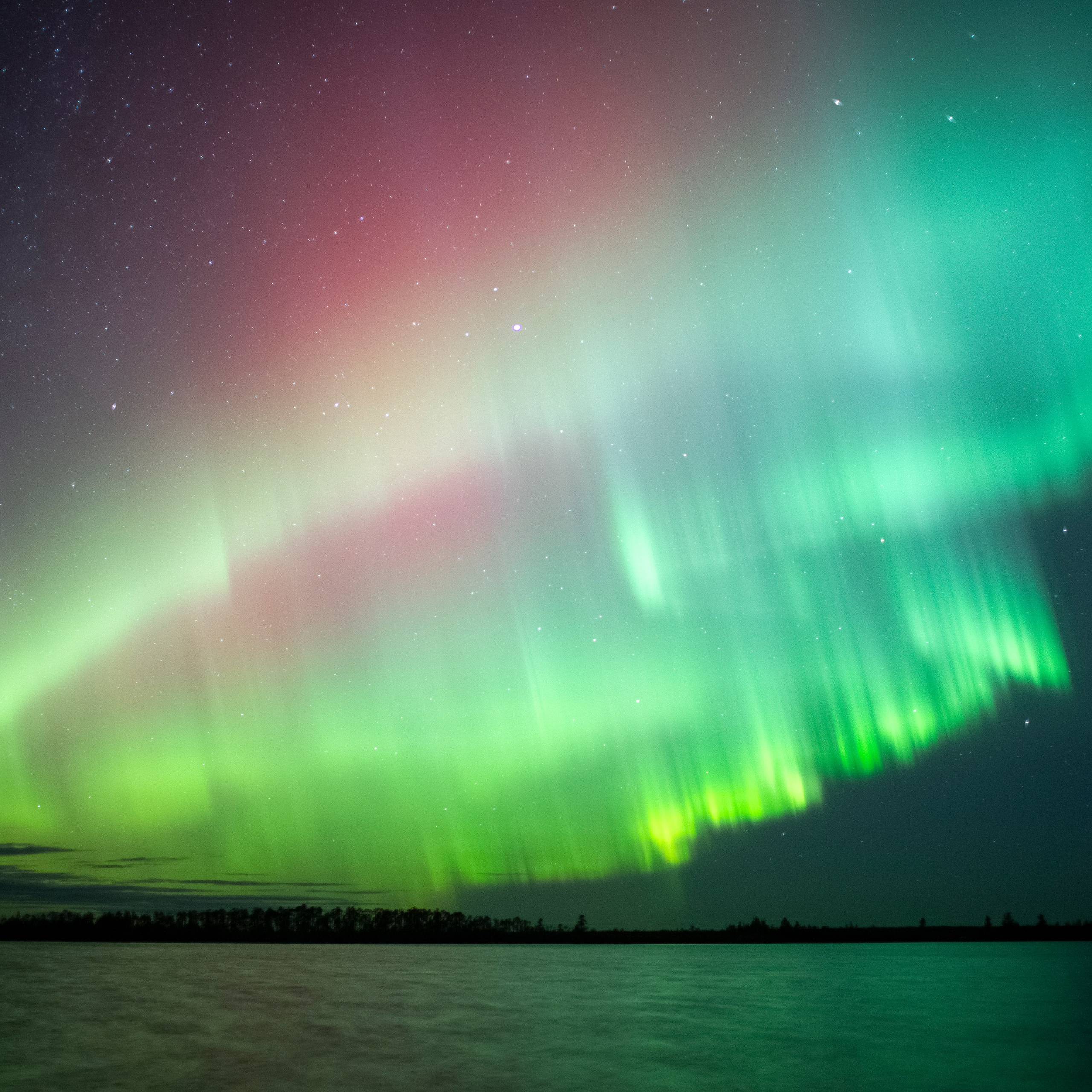 Фотограф Татьяна Борисова