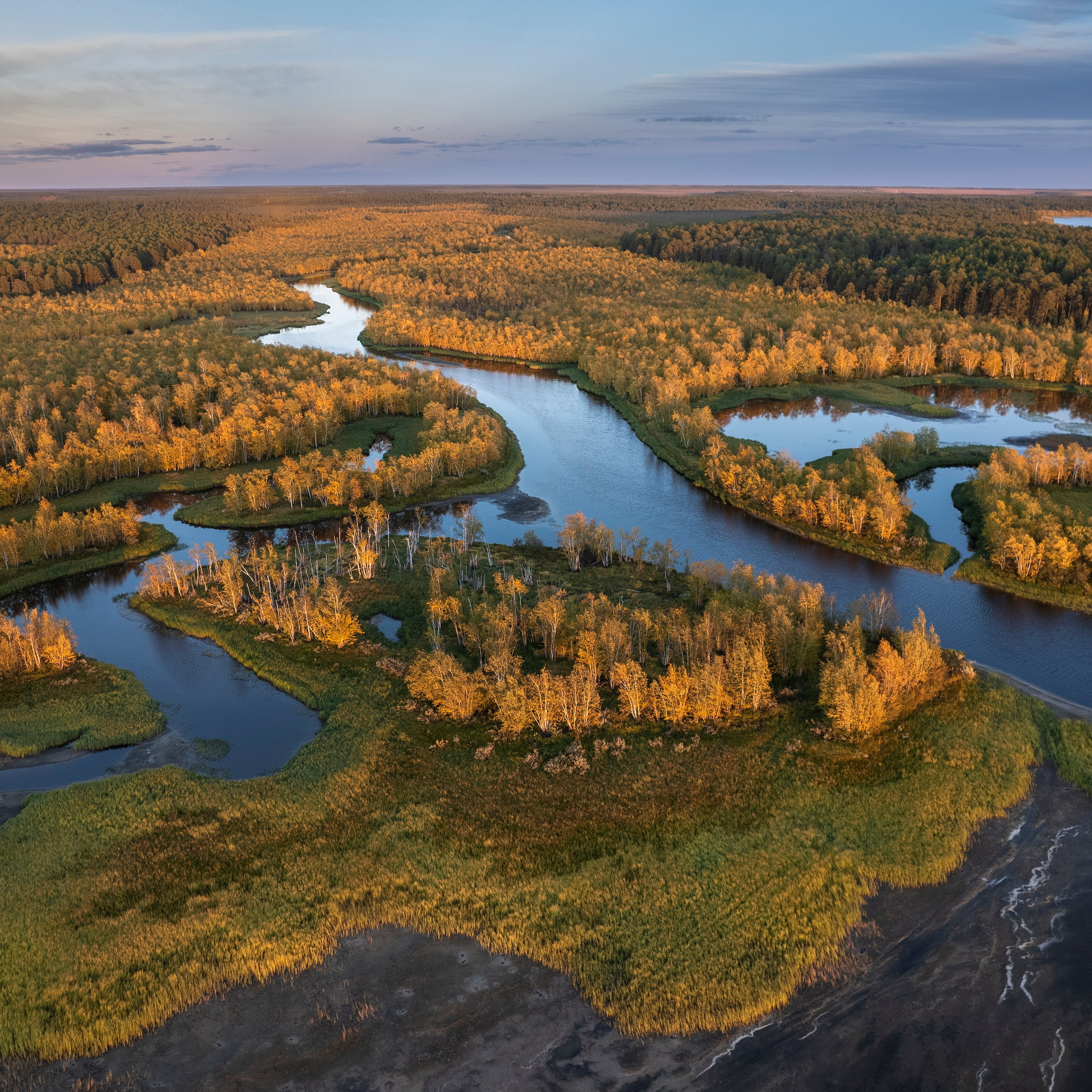 Фотограф Татьяна Борисова